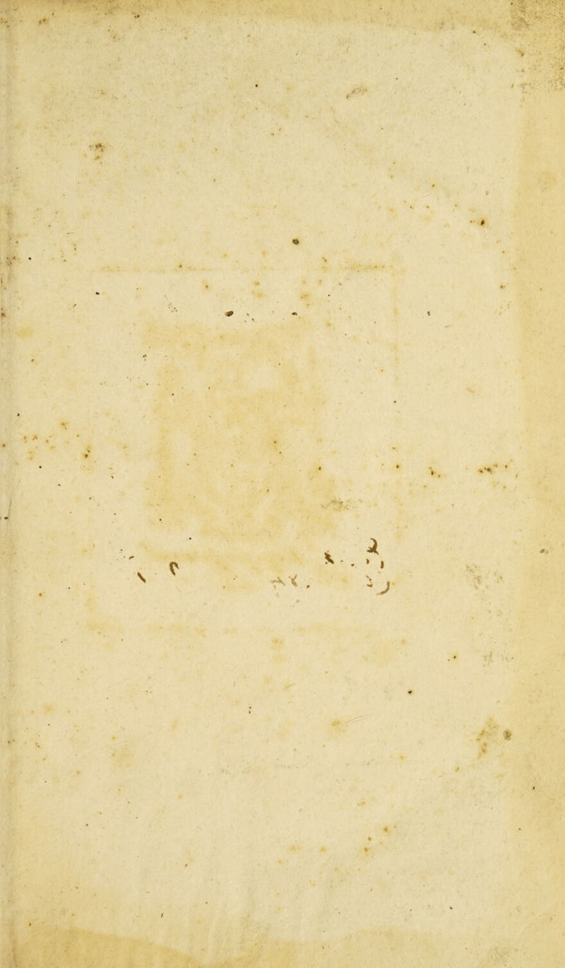 «*• / f > / » • * i >. i ♦» • < \ ^4 « k » * V