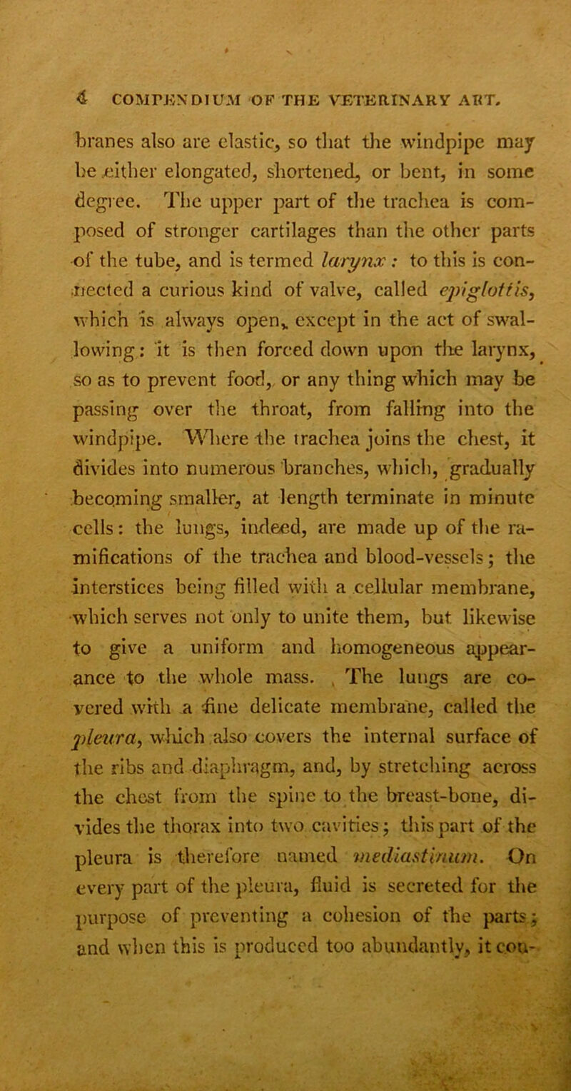 bvanes also are elastic, so that the windpipe may he either elongated, shortened, or bent, in some degree. The upper part of the trachea is com- posed of stronger cartilages than the other parts of the tube, and is termed larynx: to this is con- nected a curious kind of valve, called epiglottis, which is always open,, except in the act of swal- lowing : it is then forced down upon the larynx, so as to prevent food, or any thing which may be passing over tire throat, from falling into the windpipe. Where the trachea joins the chest, it divides into numerous branches, which, gradually becoming smaller, at length terminate in minute cells: the lungs, indeed, are made up of the ra- mifications of the trachea and blood-vessels; the interstices being filled with a cellular membrane, which serves not only to unite them, but likewise to give a uniform and homogeneous appear- ance to the whole mass. The lungs are co- vered with a fine delicate membrane, called the yj/et/ra, which also covers the internal surface of the ribs and diaphragm, and, by stretching across the chest from the spine to the breast-bone, di- vides the thorax into two cavities; this part of the pleura is therefore named mediastinum. On every part of the pleura, fluid is secreted for the purpose of preventing a cohesion of the parts; and when this is produced too abundantly, it con-