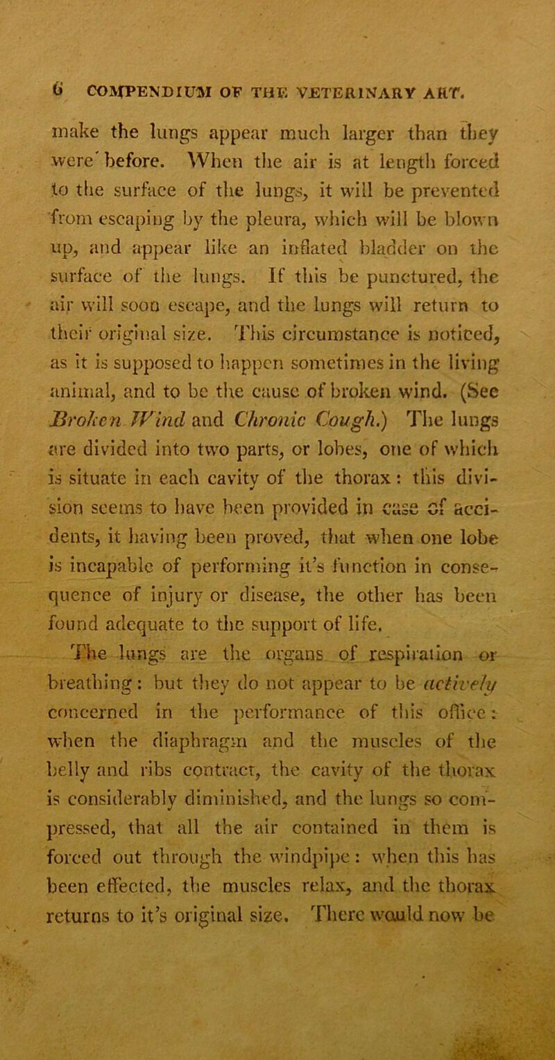 make the lungs appear much larger than they were before. When the air is at length forced to the surface of the lungs, it will be prevented from escaping by the pleura, which will be blown up, and appear like an inflated bladder on the surface of the lungs. If this be punctured, the air will soon escape, and the lungs will return to their original size. This circumstance is noticed, as it is supposed to happen sometimes in the living animal, and to be the cause of broken wind. (Sec Broken Wind and Chronic Cough.) The lungs are divided into two parts, or lobes, one of which is situate in each cavity of the thorax: this divi- sion seems to have been provided in case of acci- dents, it having been proved, that when one lobe is incapable of performing it’s function in conse- quence of injury or disease, the other has been found adequate to the support of life. The lungs are the organs of respiration or breathing: but they do not appear to be actively concerned in the performance of this office: when the diaphragm and the muscles of the belly and ribs contract, the cavity of the thorax is considerably diminished, and the lungs so com- pressed, that all the air contained in them is forced out through the windpipe: when this has been effected, the muscles relax, and the thorax returns to it’s original size. There wauld now be