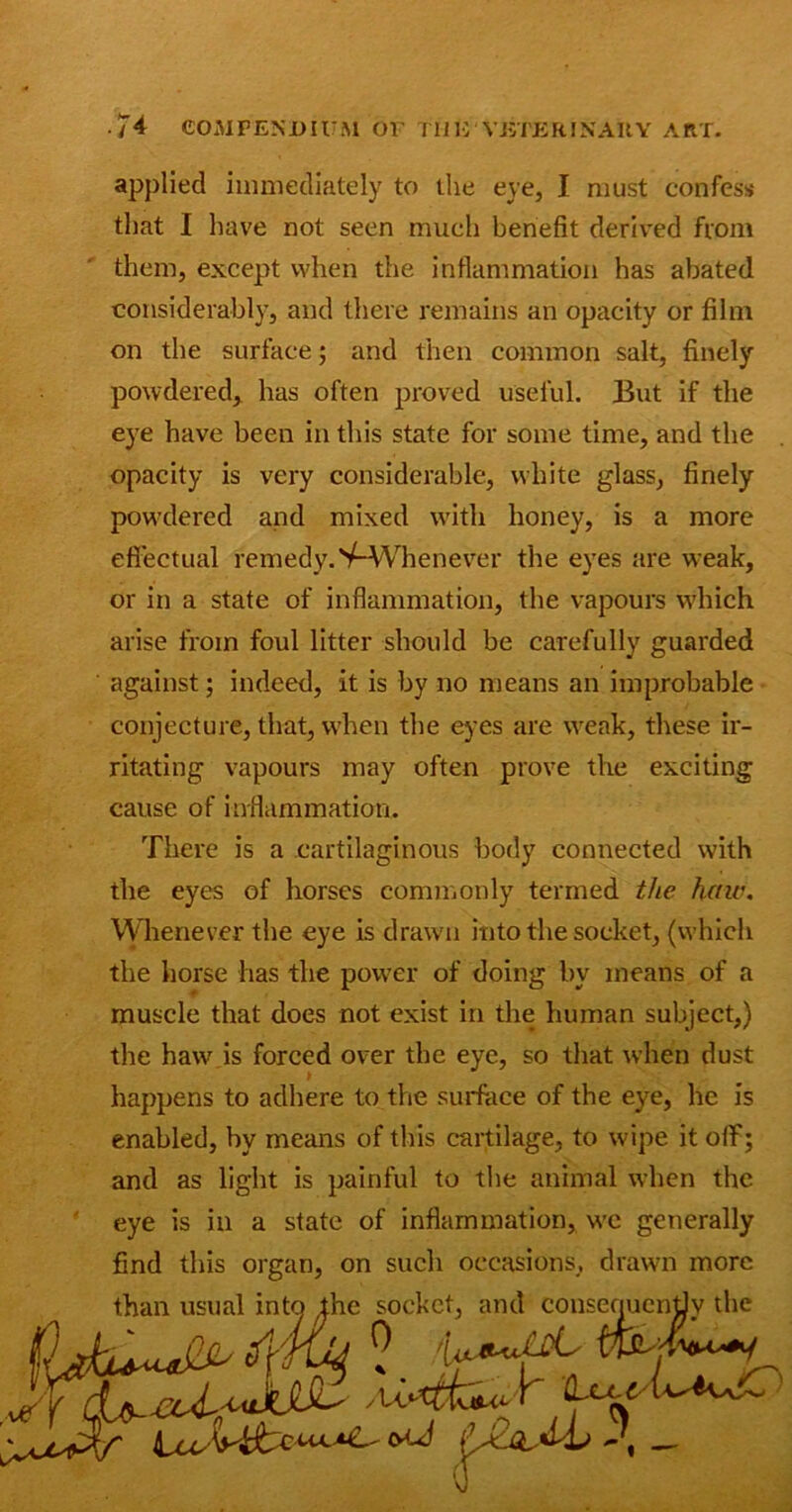 applied immediately to the eye, I must confess that I have not seen much benefit derived from them, except when the inflammation has abated considerably, and there remains an opacity or film on the surface; and then common salt, finely powdered, has often proved useful. But if the eye have been in this state for some time, and the opacity is very considerable, white glass, finely powdered and mixed with honey, is a more effectual remedy. '/-Whenever the eyes are weak, or in a state of inflammation, the vapours which arise from foul litter should be carefully guarded against; indeed, it is by no means an improbable conjecture, that, when the eyes are weak, these ir- ritating vapours may often prove the exciting cause of inflammation. There is a cartilaginous body connected with the eyes of horses commonly termed the haw. Whenever the eye is drawn into the socket, (which the horse has the power of doing by means of a muscle that does not exist in the human subject,) the haw is forced over the eye, so that when dust happens to adhere to the surface of the eye, he is enabled, by means of tins cartilage, to wipe it olfi; and as light is painful to the animal when the eye is in a state of inflammation, we generally find this organ, on such occasions, drawn more than usual into the socket, and consequcnjJy the 1/A'jXU ^ efi .<*<•»>' y lcu-lowC r-