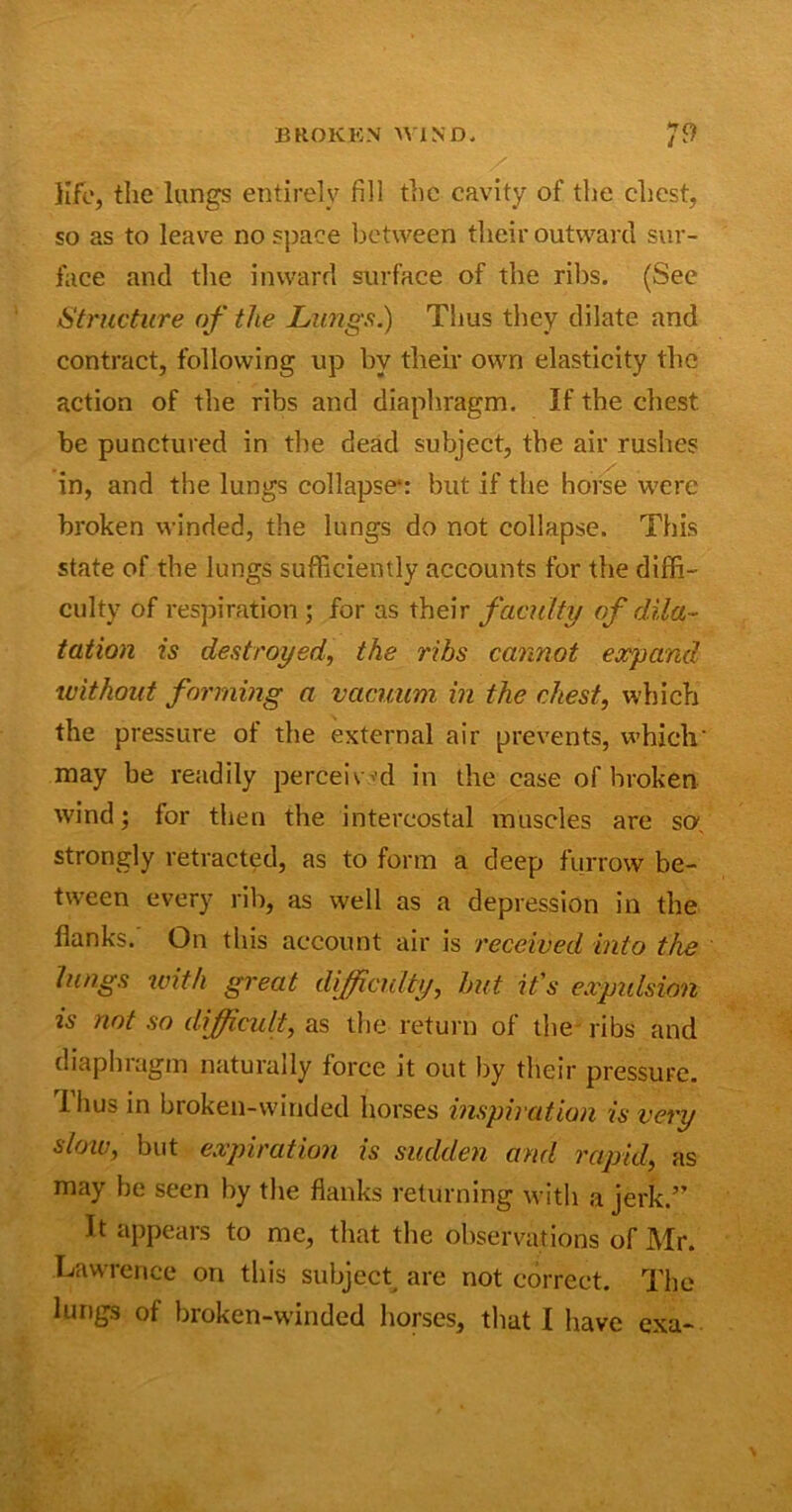 life, the lungs entirely fill the cavity of the chest, so as to leave no space between tlieir outward sur- face and the inward surface of the ribs. (See Structure of the Lungs.) Thus they dilate and contract, following up by their own elasticity the action of the ribs and diaphragm. If the chest be punctured in the dead subject, the air rushes in, and the lungs collapse4: but if the horse were broken winded, the lungs do not collapse. This state of the lungs sufficiently accounts for the diffi- culty of respiration ; for as their faculty of dila- tation is destroyed, the ribs cannot expand without forming a vacuum in the chest, which the pressure of the external air prevents, which' may be readily perceived in the case of broken wind; for then the intercostal muscles are so, strongly retracted, as to form a deep furrow be- tween every rib, as well as a depression in the flanks.' On this account air is received into the lungs with great difficulty, but it's expulsion is not so difficult, as the return of the ribs and diaphragm naturally force it out by their pressure. I hus in broken-winded horses inspiration is very slow, but expiration is sudden and rapid, as may be seen by the flanks returning with a jerk.” It appears to me, that the observations of Mr. Lawrence on this subject are not correct. The lungs of broken-winded horses, that I have exa-