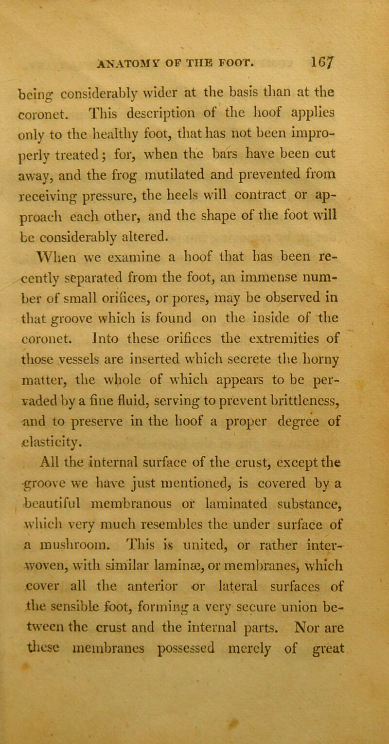 being considerably wider at the basis than at the coronet. This description of the hoof applies only to the healthy foot, that has not been impro- perly treated; for, when the bars have been cut away, and the frog mutilated and prevented from receiving pressure, the heels will contract or ap- proach each other, and the shape of the foot will be considerably altered. When we examine a hoof that has been re- cently separated from the foot, an immense num- ber of small orifices, or pores, may be observed in that groove which is found on the inside of the coronet. Into these orifices the extremities of those vessels are inserted wdfich secrete the horny matter, the whole of which appears to be per- vaded by a fine fluid, serving to prevent brittleness, •and to preserve in the hoof a proper degree of .elasticity. All the internal surface of the crust, except the ■groove we have just mentioned, is covered by a beautiful membranous or laminated substance, which very much resembles the under surface of a mushroom. This is united, or rather inter- woven, with similar laminae, or membranes, which cover all the anterior or lateral surfaces of the sensible foot, forming a very secure union be- tween the crust and the internal parts. Nor are these membranes possessed merely of great