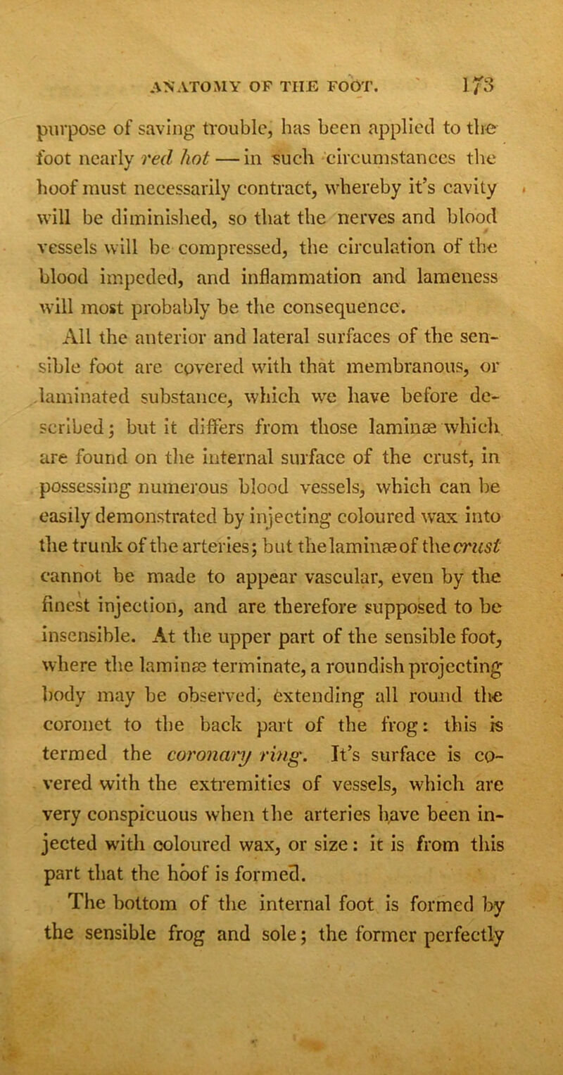purpose of saving trouble, has been applied to the foot nearly red hot—in such circumstances the hoof must necessarily contract, whereby it’s cavity will be diminished, so that the nerves and blood vessels will be compressed, the circulation of the blood impeded, and inflammation and lameness will most probably be the consequence. All the anterior and lateral surfaces of the sen- sible foot are covered with that membranous, or laminated substance, which we have before de- scribed; but it differs from those laminae which are found on the internal surface of the crust, in possessing numerous blood vessels, which can be easily demonstrated by injecting coloured wax into the trunk of the arteries; but thelaminaeof the cannot be made to appear vascular, even by the finest injection, and are therefore supposed to be insensible. At the upper part of the sensible foot, where the laminae terminate, a roundish projecting body may be observed, extending all round the coronet to the back part of the frog: this is termed the coronaiy ring. It’s surface is co- vered with the extremities of vessels, which are very conspicuous when the arteries have been in- jected with coloured wax, or size: it is from this part that the hoof is formed. The bottom of the internal foot is formed by the sensible frog and sole; the former perfectly
