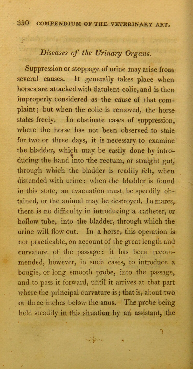 Diseases of the Urinary Oi'gans. Suppression or stoppage of urine may arise from several causes. It generally takes place when horses are attacked with flatulent colic, and is then improperly considered as the cause of that com- plaint ; but when the colic is removed, the horse stales freely. In obstinate cases of suppression, where the horse has not been observed to stale for two or three days, it is necessary to examine the bladder, which may be easily done by intro- ducing the hand into -the rectum, or straight gut, through wffiich the bladder is readily felt, when distended with urine: when the bladder is found in this state, an evacuation must be speedily ob- tained, or the animal may be destroyed. In mares, there is no difficulty in introducing a catheter, or hollow tube, into the bladder, through which the urine will flow out. In a horse, this operation is not practicable, on account of the great length and curvature of the passage: it has been recom- mended, however, in such cases, to introduce a bougie, or long smooth probe, into the passage, and to pass it forward, until it arrives at that part where the principal curvature is; that is, about two or three inches below the anus. The probe being held steadily in this situation by ah assistant, the A