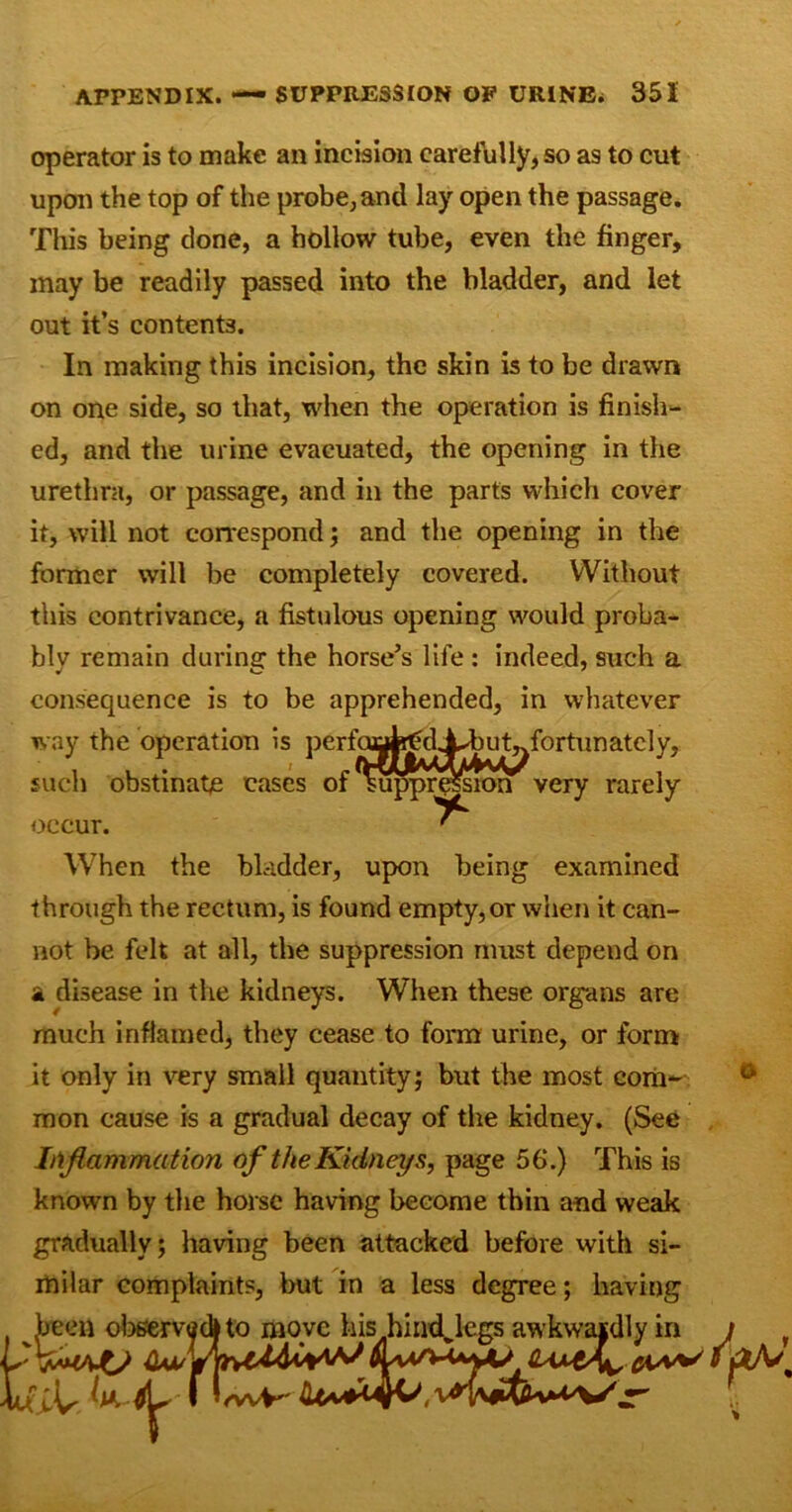 operator is to make an incision carefully, so as to cut upon the top of the probe, and lay open the passage. This being clone, a hollow tube, even the finger, may be readily passed into the bladder, and let out it’s contents. In making this incision, the skin is to be drawn on one side, so that, when the operation is finish- ed, and the urine evacuated, the opening in the urethra, or passage, and in the parts which cover it, will not correspond; and the opening in the former will be completely covered. Without this contrivance, a fistulous opening would proba- bly remain during the horse’s life : indeed, such a consequence is to be apprehended, in whatever way the operation is perfcmfc^dXbut^fortunatcly, such obstinate cases of suppr^sion very rarely occur. ' When the bladder, upon being examined through the rectum, is found empty,or when it can- not be felt at all, the suppression must depend on a disease in the kidneys. When these organs are much inflamed, they cease to form urine, or form it only in very small quantityj but the most com- mon cause is a gradual decay of the kidney. (See Inflammation of the Kidneys, page 56.) This is known by the horse having become thin and weak gradually; having been attacked before with si- milar complaints, but in a less degree; having been observe If' move his hind lym Aa '