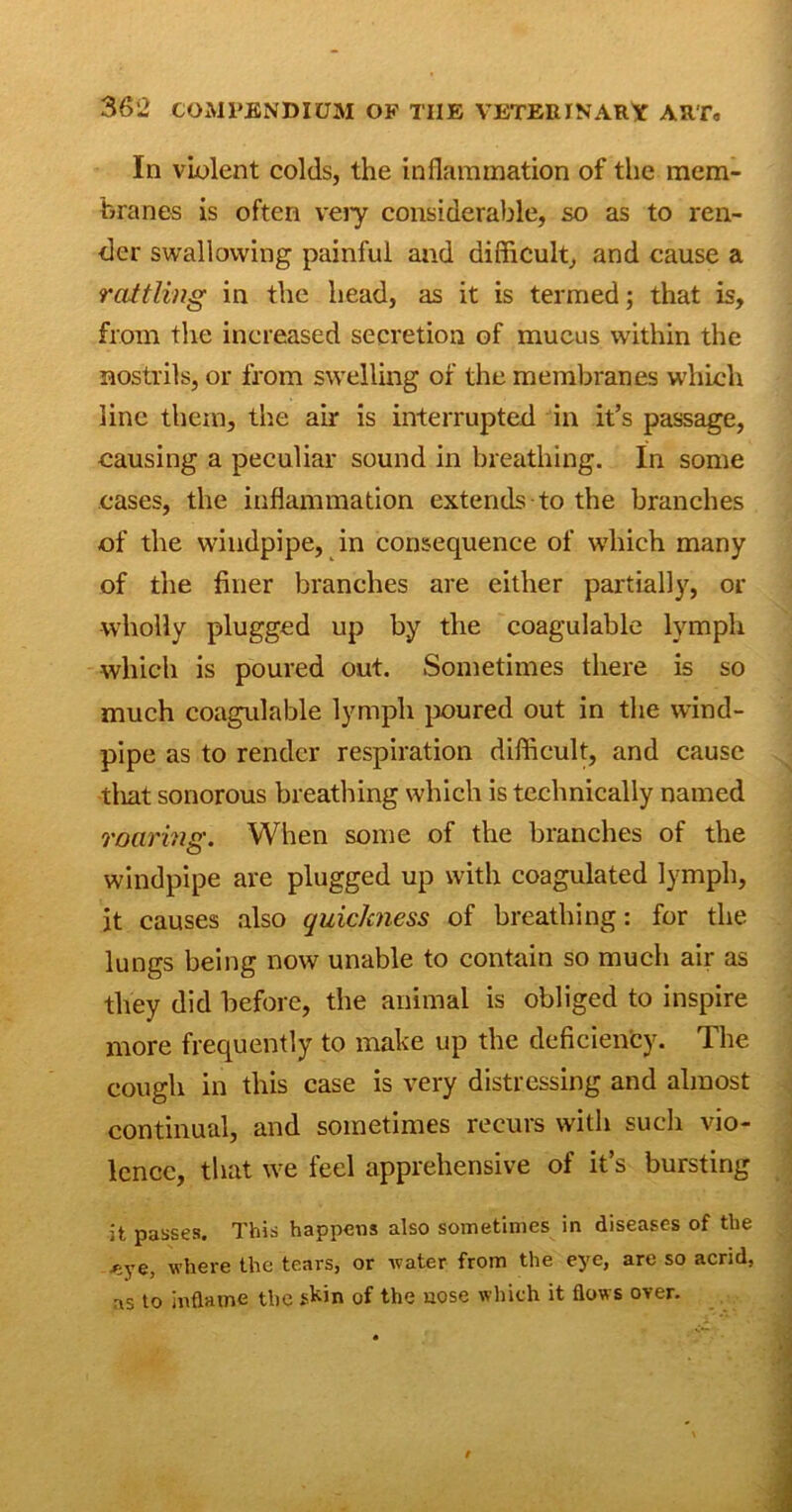 In violent colds, the inflammation of the mem- branes is often very considerable, so as to ren- der swallowing painful and difficult, and cause a rattling in the head, as it is termed; that is, from the increased secretion of mucus within the nostrils, or from swelling of the membranes which line them, the air is interrupted in it’s passage, causing a peculiar sound in breathing. In some cases, the inflammation extends to the branches of the windpipe, in consequence of which many of the finer branches are either partially, or wholly plugged up by the coagulable lymph which is poured out. Sometimes there is so much coagulable lymph poured out in the wind- pipe as to render respiration difficult, and cause tliat sonorous breathing which is technically named roaring. When some of the branches of the windpipe are plugged up with coagulated lymph, it causes also quickness of breathing: for the lungs being now unable to contain so much air as they did before, the animal is obliged to inspire more frequently to make up the deficiency. The cough in this case is very distressing and almost continual, and sometimes recurs with such vio- lence, that we feel apprehensive of it’s bursting it passes. This happens also sometimes in diseases of the <ye, where the tears, or water from the eye, are so acrid, as to inflame the skin of the nose which it flows over.