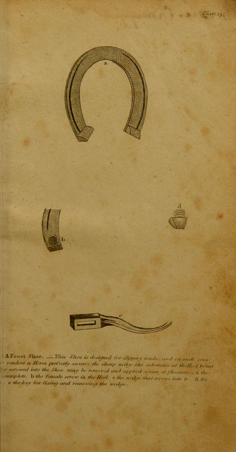 H< K <1 AFro.t Shoe. Thu Shoe is designed rbr dipper v read.,. and , n W/ ■ raider* a Bene perfectly scare, the sharp wedge-like *uh*tameat theSr./heimf i y tern red into Hie S/,.„■ may he raney.d and applied again at gh.unre. _ a H„ ' complete, b the female .terry lit the Meet. e the Hedge that.terry., into it. ,L //:,• e the key for fi.viniy n/uJ mho X'iiuy t/ir wetiqt*.
