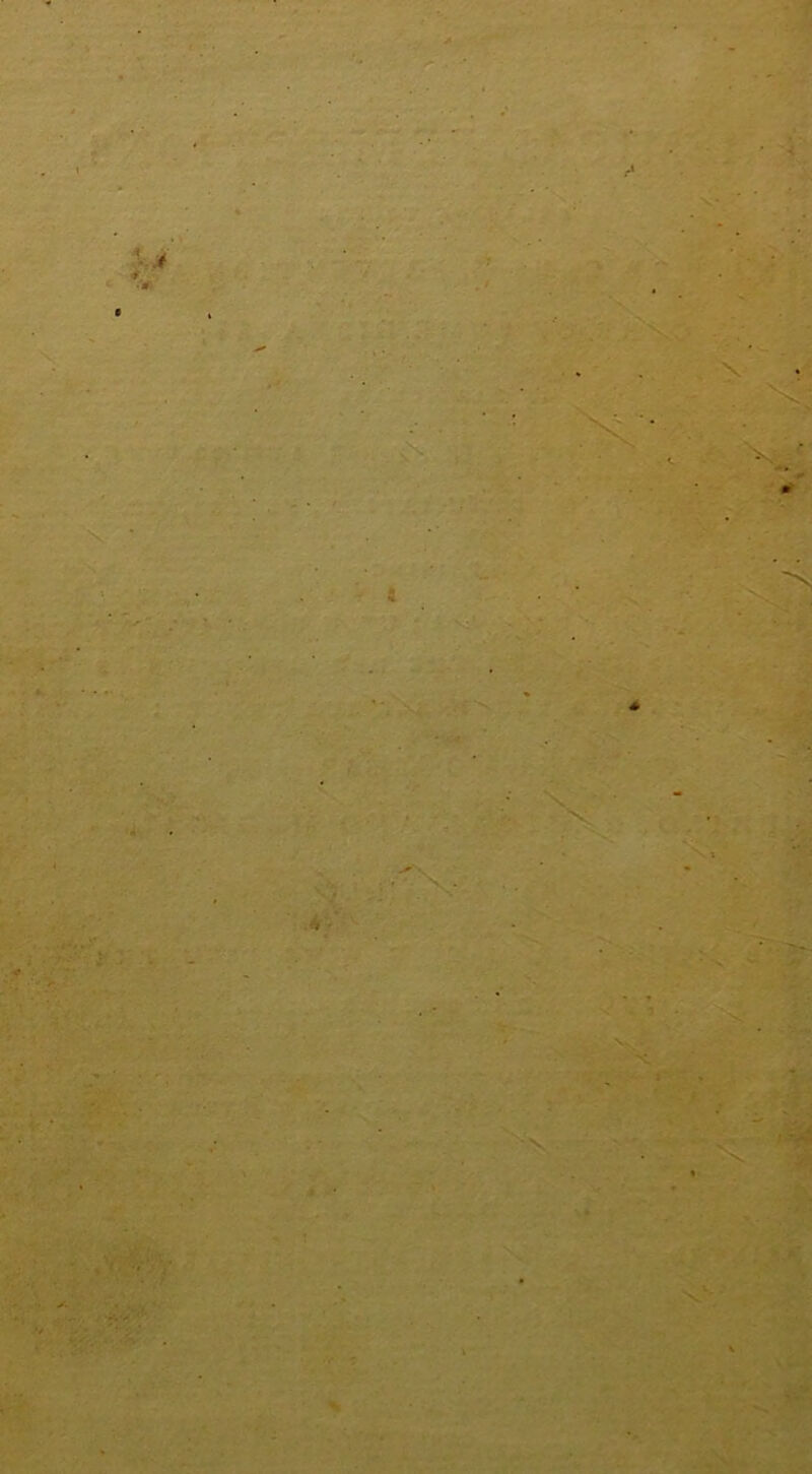 '>•?'i.,.' ' '-i ' ' 'fi \ .’. vl* \ ,Y;