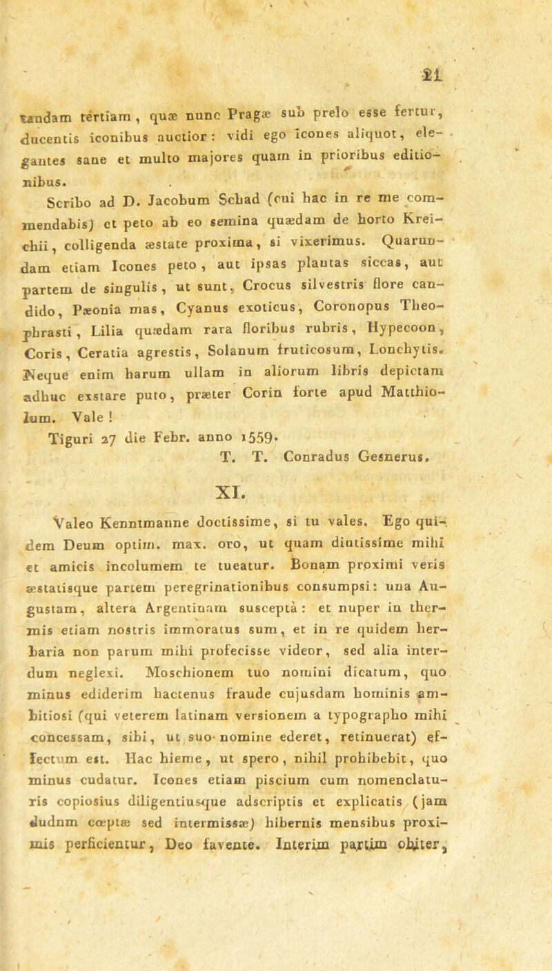 tandam tertiam , quae nunc Prag* suo prelo esse fertur, ducentis iconibus auctior: vidi ego icones aliquot, ele- gantes sane et multo majores quam in prioribus editio- nibus. Scribo ad D. Jacobum Schad (cui hac in re me com- mendabis) ct peto ab eo semina quaidam de horto Krei- chii, colligenda testate proxima, si vixerimus. Quarun- dam etiam Icones peto, aut ipsas plautas siccas, aut partem de singulis , ut sunt., Crocus silvestris flore can- dido, Pteonia mas. Cyanus exoticus, Coronopus Theo- phrasti, Lilia qujcdam rara floribus rubris, Hypecoon, Coris, Ceratia agrestis, Solanum fruticosum, Lonchytis. JJeque enim harum ullam in aliorum libris depictam adhuc exstare puto, praeter Corin forte apud Matthio- 2um. Vale ! Tiguri 27 die Febr. anno 1559. T. T. Conradus Gesnerus. XI. Valeo Kenmmanne doctissime, si tu vales. Ego qui- dem Deum optim. max. oro, ut quam diutissime mihi et amicis incolumem te tueatur. Bonam proximi veris «statisque partem peregrinationibus consumpsi: una Au- gustam, altera Argentinam suscepta: et nuper in ther- mis etiam nostris immoratus sum, et in re quidem her- baria non parum mihi profecisse videor, sed alia inter- dum neglexi. Moschionem tuo nomini dicatum, quo minus ediderim hactenus fraude cujusdam hominis am- bitiosi (qui veterem latinam versionem a typographo mihi concessam, sibi, ut suo-nomine ederet, retinuerat) ef- fectum est. llac hieme, ut spero, nihil prohibebit, quo minus cudatur. Icones etiam piscium cum nomenclatu- ris copiosius diligentiusque adscriptis ct explicatis (jam dudnm coept» sed intermissa-) hibernis mensibus proxi- mis perficientur, Deo favente. Interim pa.rtim obiter.