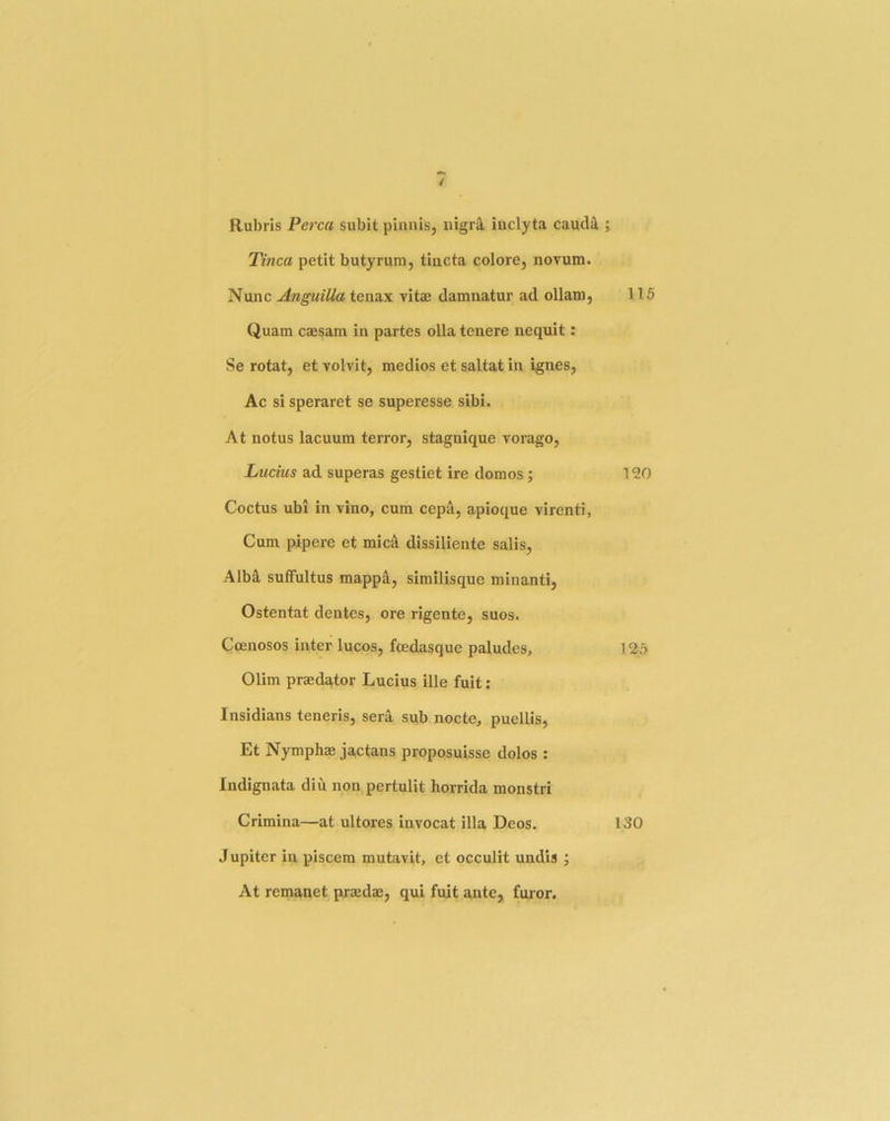 Rubris Perea subit pinnis, nigra iuclyta cauda ; Tinea petit butyrum, tincta colore, novum. Nunc Anguilla tenax vitae damnatur ad ollam, 116 Quam caesam in partes olla tenere nequit: Se rotat, et volvit, medios et saltat in ignes, Ac si speraret se superesse sibi. At notus lacuum terror, stagnique vorago, Lueius ad superas gestiet ire domos ; 120 Coctus ubi in vino, cum cepa, apioque virenti, Cum pipere et mic^ dissiliente salis. Alba, suffultus mappa, similisque minanti, Ostentat dentes, ore rigente, suos. Coenosos inter lucos, feedasque paludes, 126 Olim praedator Lucius ille fuit: Insidians teneris, sera sub nocte, puellis, Et Nymphae jactans proposuisse dolos : Indignata diu non pertulit horrida monstri Crimina—at ultores invocat ilia Deos. 130 J upiter in piscem mutavit, et occulit undis ; At remanet praeda3, qui fuit ante, furor.