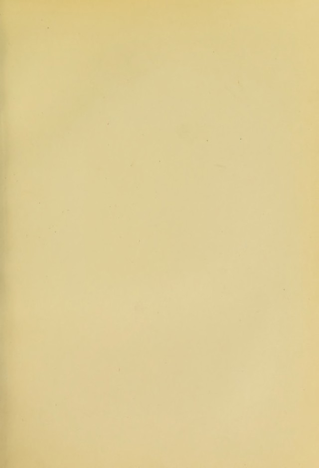 digitised image 3