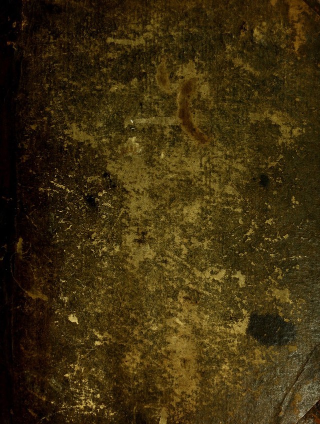 digitised image 1
