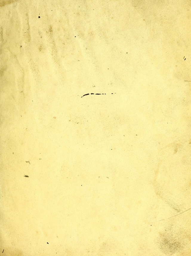 digitised image 3