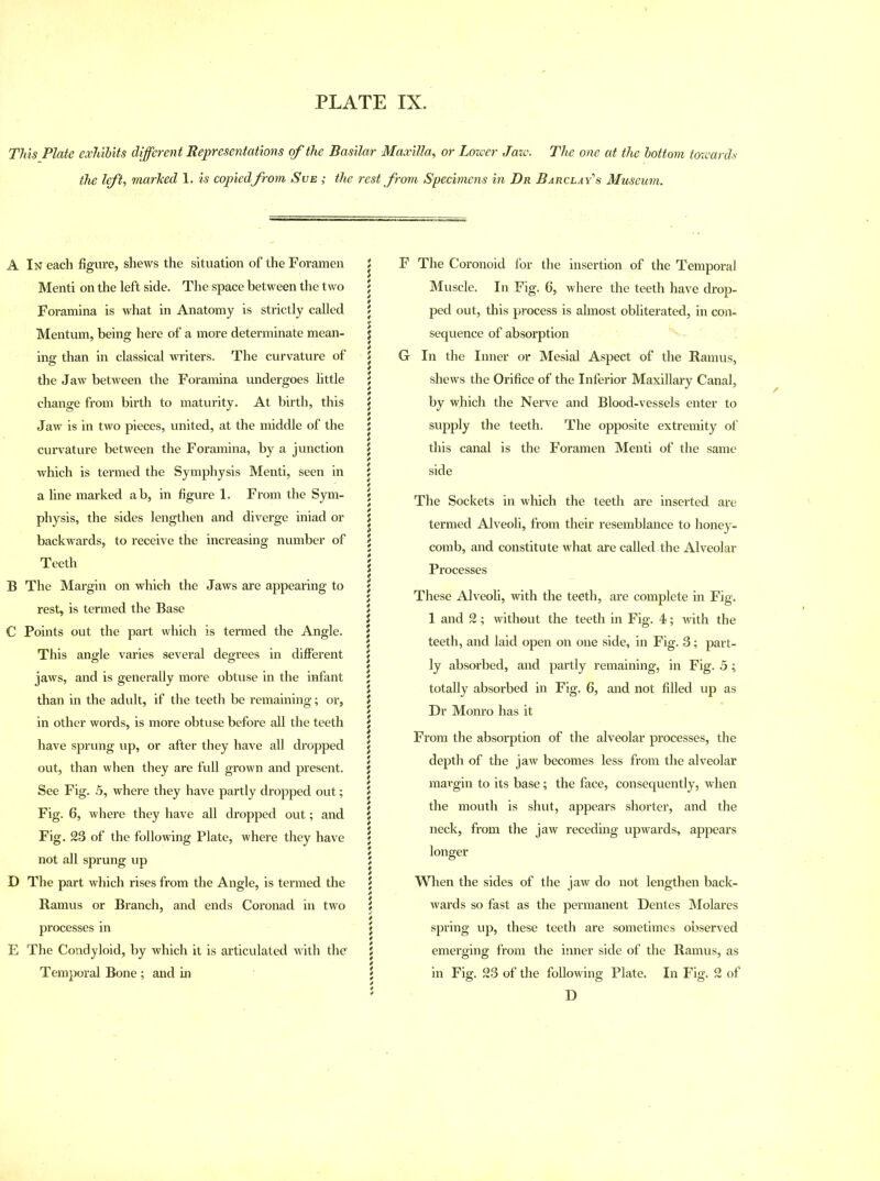 This Plate exhibits different Representations of the Basilar Maxilla, or Lower Jaw. The one at the bottom towards the lft, marked 1. is copied from Sue ; the rest from Specimens in Dr Barclay's Museum. A In each figure, shews the situation of the Foramen Menti on the left side. The space between the two Foramina is what in Anatomy is strictly called Mentum, being here of a more determinate mean- ing than in classical writers. The curvature of the Jaw between the Foramina undergoes little change from birth to maturity. At birth, this Jaw is in two pieces, united, at the middle of the curvature between the Foramina, by a junction which is termed the Symphysis Menti, seen in a line marked ab, in figure 1. From the Sym- physis, the sides lengthen and diverge iniad or backwards, to receive the increasing number of Teeth B The Margin on which the Jaws are appearing to rest, is termed the Base C Points out the part which is termed the Angle. This angle varies several degrees in different jaws, and is generally more obtuse in the infant than in the adult, if the teeth be remaining; or, in other words, is more obtuse before all the teeth have sprung up, or after they have all dropped out, than when they are full grown and present. See Fig. 5, where they have partly dropped out; Fig. 6, where they have all dropped out; and Fig. 23 of the following Plate, where they have not all sprung up D The part which rises from the Angle, is termed the Ramus or Branch, and ends Coronad in two processes in E The Condyloid, by which it is articulated with the Temporal Bone ; and in F The Coronoid for the insertion of the Temporal Muscle. In Fig. 6, where the teeth have drop- ped out, this process is almost obliterated, in con- sequence of absorption G In the Inner or Mesial Aspect of the Ramus, shews the Orifice of the Inferior Maxillary Canal, by which the Nerve and Blood-vessels enter to supply the teeth. The opposite extremity of this canal is the Foramen Menti of the same side The Sockets in which the teeth are inserted are termed Alveoli, from their resemblance to honey- comb, and constitute what are called the Alveolar Processes These Alveoli, with the teeth, are complete in Fig. 1 and 2; without the teeth in Fig. 4; with the teeth, and laid open on one side, in Fig. 3; part- ly absorbed, and partly remaining, in Fig. 5; totally absorbed in Fig. 6, and not filled up as Dr Monro has it From the absorption of the alveolar processes, the depth of the jaw becomes less from the alveolar margin to its base; the face, consequently, when the mouth is shut, appears shorter, and the neck, from the jaw receding upwards, appears longer When the sides of the jaw do not lengthen back- wards so fast as the permanent Dentes Molares spring up, these teeth are sometimes observed emerging from the inner side of the Ramus, as in Fig. 23 of the following Plate. In Fig. 2 of D