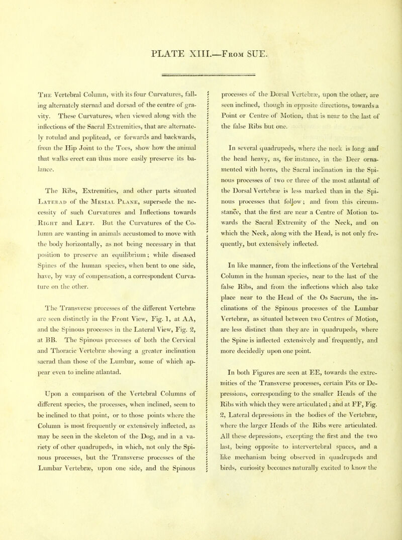 The Vertebral Column, with its four Curvatures, fall- \ ing alternately sternad and dorsad of the centre of gra- i vity. These Curvatures, when viewed along with the ; inflections of the Sacral Extremities, that are alternate- 5 ly rotulad and poplitead, or forwards and backwards, \ from the Hip Joint to the Toes, show how the animal j that walks- erect can thus more easily preserve its ba- ; lance. The Ribs, Extremities, and other parts situated Later ad of the Mesial Plane, supersede the ne- cessity of such Curvatures and Inflections towards Right and Left. But the Curvatures of the Co- lumn are wanting in animals accustomed to move with the body horizontally, as not being necessary in that position to preserve an equilibrium; while diseased Spines of the human species, when bent to one side, have, by way of compensation, a correspondent Curva- ture on the other. The Transverse processes of the different Vertebras are seen distinctly in the Front View, Fig. 1, at A A, and the Spinous processes in the Lateral View, Fig. 2, at BB. The Spinous processes of both the Cervical and Thoracic Vertebrae showing a greater inclination sacrad than those of the Lumbar, some of which ap- pear even to incline atlantad. Upon a comparison of the Vertebral Columns of different species, the processes, when inclined, seem to be inclined to that point, or to those points where the Column is most frequently or extensively inflected, as may be seen in the skeleton of the Dog, and in a va- riety of other quadrupeds, in which, not only the Spi- nous processes, but the Transverse processes of the Lumbar Vertebrae, upon one side, and the Spinous processes of the Dorsal Vertebrae, upon the other, are seen inclined, though in opposite directions, towards a Point or Centre of Motion, that is near to the last of the false Ribs but one. In several quadrupeds, where the neck is long and the head heavy, as, for instance, in the Deer orna- mented with horns, the Sacral inclination in the Spi- nous processes of two or three of the most atlantal of the Dorsal Vertebrae is less marked than in the Spi- 5 nous processes that follow; and from this circum- i stance, that the first are near a Centre of Motion to- | wards the Sacral Extremity of the Neck, and on • which the Neck, along with the Head, is not only fre- 5 quently, but extensively inflected. J J j In like manner, from the inflections of the Vertebral 5 Column in the human species, near to the last of the 5 false Ribs, and from the inflections which also take | place near to the Head of the Os Sacrum, the in- j clinations of the Spinous processes of the Lumbar { Vertebrae, as situated between two Centres of Motion, j are less distinct than they are in quadrupeds? where \ the Spine is inflected extensively and frequently, and j more decidedly upon one point. \ \ In both Figures are seen at EE, towards the extre- \ mities of the Transverse processes, certain Pits or De- 5 pressions, corresponding to the smaller Heads of the \ Ribs with which they were articulated; and at FF, Fig. ; 2, Lateral depressions in the bodies of the Vertebrae, i where the larger Heads of the Ribs were articulated. ; All these depressions, excepting the first and the two 5 last, being opposite to intervertebral spaces, and a ' like mechanism being observed in quadrupeds and / birds, curiosity becomes naturally excited to know the