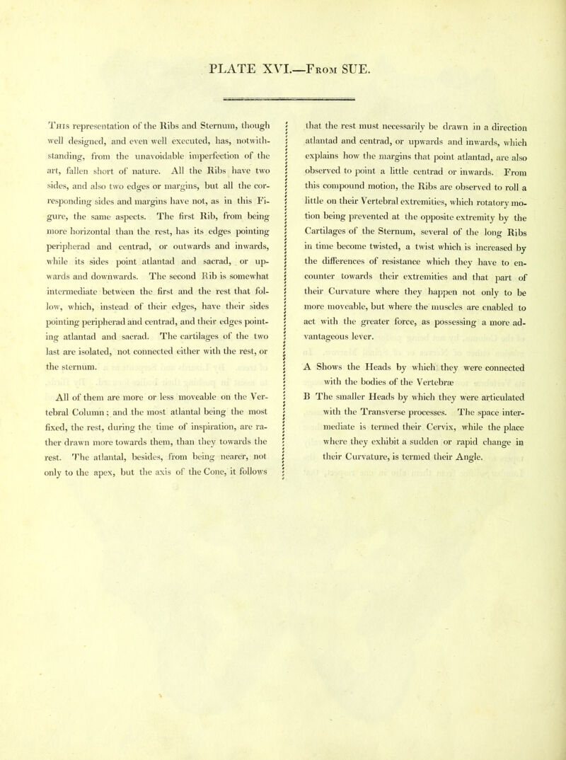 This representation of the Ribs and Sternum, though J well designed, and even well executed, has, notwith- ; standing, from the unavoidable imperfection of the \ art, fallen short of nature. All the Ribs have two J sides, and also two edges or margins, but all the cor- \ responding sides and margins have not, as in this Fi- j gure, the same aspects. The first Rib, from being 5 more horizontal than the rest, has its edges pointing 5 peripherad and centrad, or outwards and inwards, \ while its sides point atlantad and sacrad, or up- \ wards and downwards. The second Rib is somewhat 5 intermediate between the first and the rest that fol- l low, which, instead of their edges, have their sides j pointing peripherad and centrad, and their edges point- \ ing atlantad and sacrad. The cartilages of the two \ last are isolated, not connected either with the rest, or 5 the sternum. \ \ All of them are more or less moveable on the Yer- j tebral Column; and the most atlantal being the most j fixed, the rest, during the time of inspiration, are ra- j ther drawn more towards them, than they towards the ; rest. The atlantal, besides, from being nearer, not } only to the apex, but the axis of the Cone, it follows ; that the rest must necessarily be drawn in a direction atlantad and centrad, or upwards and inwards, which explains how the margins that point atlantad, are also observed to point a little centrad or inwards. From this compound motion, the Ribs are observed to roll a little on their Vertebral extremities, which rotatory mo- tion being prevented at the opposite extremity by the Cartilages of the Sternum, several of the long Ribs in time become twisted, a twist which is increased by the differences of resistance which they have to en- counter towards their extremities and that part of their Curvature where they happen not only to be more moveable, but where the muscles are enabled to act with the greater force, as possessing a more ad- vantageous lever. A Shows the Heads by which: they were connected with the bodies of the Vertebrae B The smaller Heads by which they were articulated with the Transverse processes. The space inter- mediate is termed their Cervix, while the place where they exhibit a sudden or rapid change in their Curvature, is termed their Angle.