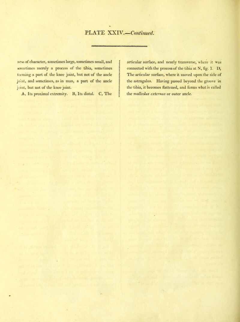 ness of character, sometimes large, sometimes small, and sometimes merely a process of the tibia, sometimes forming a part of the knee joint, but not of the ancle joint, and sometimes, as in man, a part of the ancle joint, but not of the knee joint. A, Its proximal extremity. B, Its distal. C, The ; articular surface, and nearly transverse, where it was \ connected with the process of the tibia at N, fig. 1. 1>, ; The articular surface, where it moved upon the side of { the astragalus. Having passed beyond the groove in 5 the tibia, it becomes flattened, and forms what is called \ the malleolus externus or outer ancle.