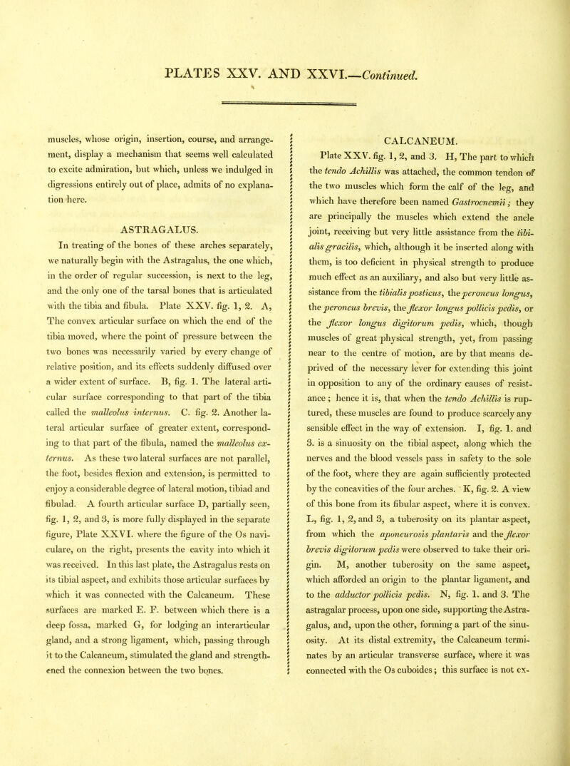 muscles, whose origin, insertion, course, and arrange- ment, display a mechanism that seems well calculated to excite admiration, but which, unless we indulged in digressions entirely out of place, admits of no explana- tion here. ASTRAGALUS. In treating of the bones of these arches separately, we naturally begin with the Astragalus, the one which, in the order of regular succession, is next to the leg, and the only one of the tarsal bones that is articulated with the tibia and fibula. Plate XXV. fig. 1,2. A, The convex articular surface on which the end of the tibia moved, where the point of pressure between the two bones was necessarily varied by every change of relative position, and its effects suddenly diffused over a wider extent of surface. B, fig. 1. The lateral arti- cular surface corresponding to that part of the tibia called the malleolus interims. C. fig. 2. Another la- teral articular surface of greater extent, correspond- ing to that part of the fibula, named the malleolus ex- ternus. As these two lateral surfaces are not parallel, the foot, besides flexion and extension, is permitted to enjoy a considerable degree of lateral motion, tibiad and fibulad. A fourth articular surface D, partially seen, fig. 1, 2, and 3, is more fully displayed in the separate figure, Plate XXVI. where the figure of the Os navi- culare, on the right, presents the cavity into which it was received. In this last plate, the Astragalus rests on its tibial aspect, and exhibits those articular surfaces by which it was connected with the Calcaneum. These surfaces are marked E. F. between which there is a deep fossa, marked G, for lodging an interarticular gland, and a strong ligament, which, passing through it to the Calcaneum, stimulated the gland and strength- ened the connexion between the two bones. s i CALCANEUM. Plate XXV. fig. 1, 2, and 3. H, The part to which the tendo Achillis was attached, the common tendon of the two muscles which form the calf of the leg, and which have therefore been named Gastrocnemii; they are principally the muscles which extend the ancle joint, receiving but very little assistance from the tibi- alis gracilis, which, although it be inserted along with them, is too deficient in physical strength to produce much effect as an auxiliary, and also but very little as- sistance from the tibialis posticus, the peroneus longus, the peroneus brevis, the Jlexor longus pollicis pedis, or the Jlexor longus digitorum pedis, which, though muscles of great physical strength, yet, from passing near to the centre of motion, are by that means de- prived of the necessary lever for extending this joint in opposition to any of the ordinary causes of resist- ance ; hence it is, that when the tendo Achillis is rup- tured, these muscles are found to produce scarcely any sensible effect in the way of extension. I, fig. 1. and 3. is a sinuosity on the tibial aspect, along which the nerves and the blood vessels pass in safety to the sole of the foot, where they are again sufficiently protected by the concavities of the four arches. K, fig. 2. A view of this bone from its fibular aspect, where it is convex. L, fig. 1, 2, and 3, a tuberosity on its plantar aspect, from which the aponeurosis plantaris and the Jlexor brevis digitorum pedis were observed to take their ori- gin. M, another tuberosity on the same aspect, which afforded an origin to the plantar ligament, and to the adductor pollicis pedis. N, fig. 1. and 3. The astragalar process, upon one side, supporting the Astra- galus, and, upon the other, forming a part of the sinu- osity. At its distal extremity, the Calcaneum termi- nates by an articular transverse surface, where it was connected with the Os cuboides; this surface is not ex-