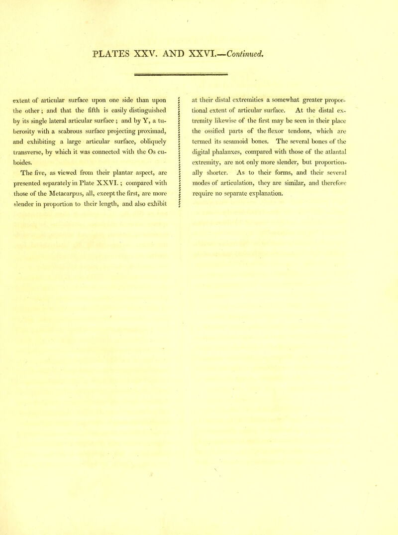 extent of articular surface upon one side than upon ; the other; and that the fifth is easily distinguished j by its single lateral articular surface ; and by Y, a tu- $ berosity with a scabrous surface projecting proximad, i and exhibiting a large articular surface, obliquely * transverse, by which it was connected with the Os cu- £ boides. ; The five, as viewed from their plantar aspect, are ; presented separately in Plate XXVI.; compared with \ those of the Metacarpus, all, except the first, are more j slender in proportion to their length, and also exhibit j at their distal extremities a somewhat greater propor- tional extent of articular surface. At the distal ex- tremity likewise of the first may be seen in their place the ossified parts of the flexor tendons, which are termed its sesamoid bones. The several bones of the digital phalanxes, compared with those of the atlantal extremity, are not only more slender, but proportion- ally shorter. As to their forms, and their several modes of articulation, they are similar, and therefore require no separate explanation.