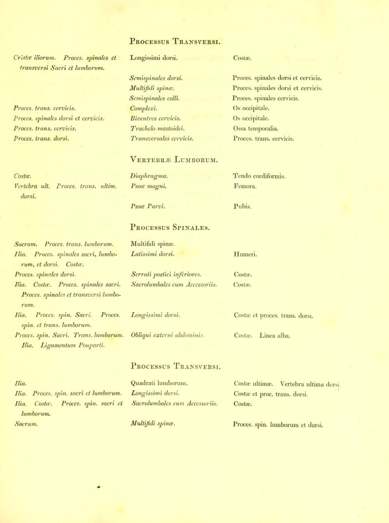 Cristce iliorum. Proces. spinales et transversi Sacri et lumborum. Proces. trans. cervicis. Proces. spinales dorsi et cervicis. Proces. trans. cervicis. Proces. trans. dorsi. Costce. Vertebra ult. Proces. trans. ultim. dorsi. Processus Transversi. Longissimi dorsi. Semispinales dorsi. Multijidi spince. Semispinales colli. Complexi. Biventres cervicis. Trachelo-mastoidei. Transversales cervicis. Vertebra Lumborum. Diaphragma. Psoce magni. Psoce Parvi. Processus Spinales. Processus Transversi. Costae. Proces. spinales dorsi et cervicis. Proces. spinales dorsi et cervicis. Proces. spinales cervicis. Os occipitale. Os occipitale. Ossa temporalia. Proces. trans. cervicis. Tendo cordiformis. Femora. Pubis. Humeri. Costae. Costae. Costae et proces. trans. dorsi. Costae. Linea alba. Costae ultimae. Vertebra ultima dors Costae et proc. trans. dorsi. Costae. Sacrum. Proces. trans. lumborum. Multifidi spinae. Ilia. Proces. spinales sacri, lumbo- Latissimi dorsi. rum, et dorsi. Costce. Proces. spinales dorsi. Serrati postici inferiores. Ilia. Costce. Proces. spinales sacri. Sacrolumbales cum Accessoriis. Proces. spinales et transversi lumbo- rum. Ilia. Proces. spin. Sacri. Proces. Longissimi dorsi. spin, et trans. lumborum. Proces. spin. Sacri. Trans, lumborum. Obliqui externi abdominis. Ilia. Ligamentum Pouparti. Ilia. Quadrati lumborum. Ilia. Proces. spin, sacri et lumborum. Longissimi dorsi. Ilia. Costce. Proces. spin, sacri et Sacrolumbales cum Accessoriis. lumborum. Sacrum. Multifidi spince. Proces. spin, lumborum et dorsi.