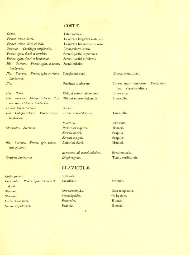 COSTiE. Costae. Proces. trans. dorsi. Proces. trans. dorsi et colli. Sternum. Cartilago ensiformis. Proces. spin, dorsi et cervicis. Proces. spin, dorsi et lumborum. Ilia. Sacrum. Proces. spin, et trans. lumborum. Ilia. Sacrum. Proces. spin, et trans. lumborum. Intercostales. Levatores longiores costarura. Levatores breviores costarum. Triangulares sterni. Serrati postici superiores. Serrati postici inferiores. Sacrolumbales. Longissimi dorsi. Ilia. Pubes. Ilia. Sacrum. Obliqui externi. ces. spin, et trans. lumborum. Proces. trans. cervicis. Ilia. Obliqui externi. lumborum. Obliqui externi abdominis. Pro- Obliqui interni abdominis. Scaleni. Transversi abdominis. Proces. trans. Subclavii. Claviculas. Sternum. Pectorales majores. Serrati antici. Serrati. magni. Ilia. Sacrum. Proces. spin, lunibo- Latissimi dorsi. rum et dorsi. Accessorii ad sacrolumbalem. Vertebrae lumborum. Diaphragma. Proces. trans. dorsi. mae. Vertebra ultima. Linea alba. Linea alba. Linea alba. Claviculae Humeri. Scapulae. Scapulae. Humeri. Sacrolumbales. Tendo cordiformis. CLAVICULAR Costae primae. Occipitale. Proces. spin, cervicis et dorsi. Sternum. Sternum. Costae et sternum. Spinae scapular urn. Subclavii. Cucullares. Sternomastoidei. Sternohyoidei. Pectorales. Deltoidei. Scapulae. Ossa temporalia. Os hyoides. Humeri. Humeri.