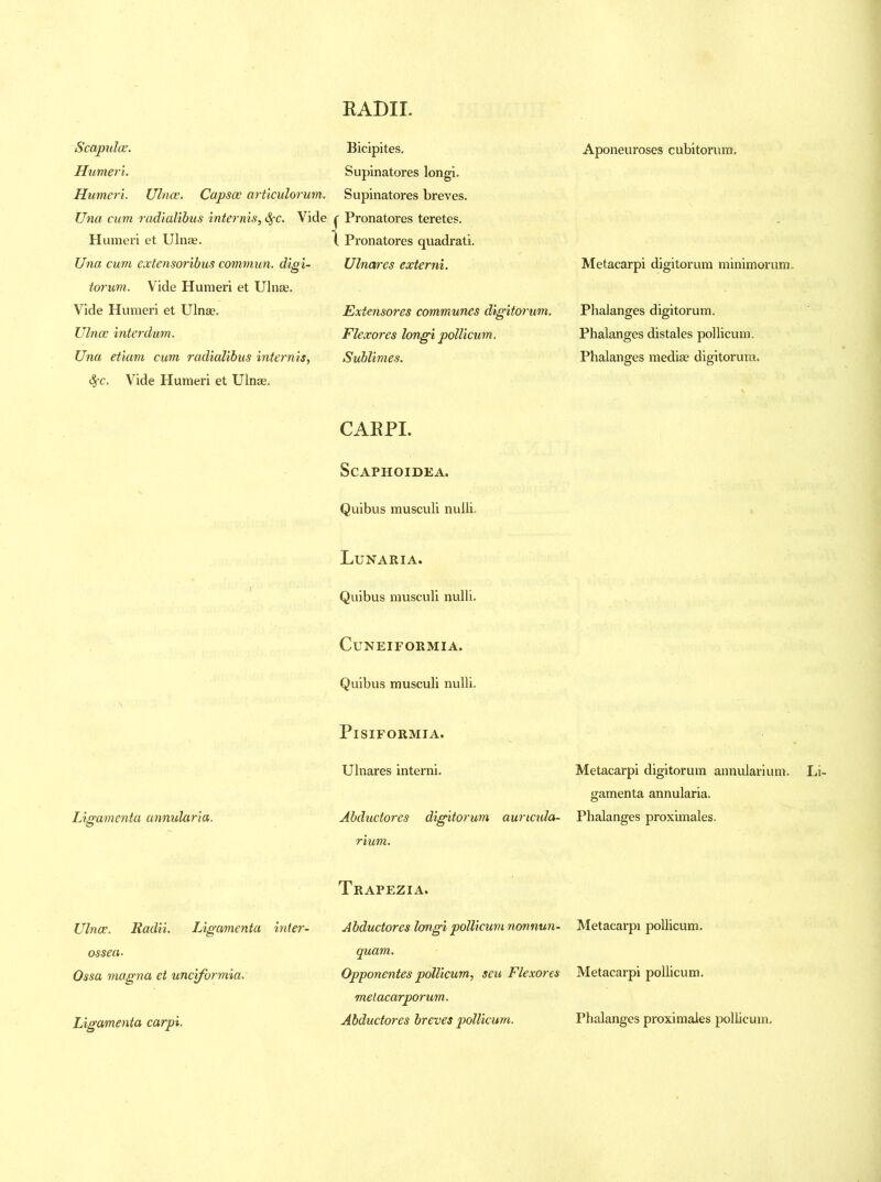 RADII. Scapulas. Humeri. Humeri. Ulnae. Capsce articulorum. Una cum radialibus inter mis, <SfC. Vide Humeri et Ulnae. Una cum extensoribus commun. digi- torum. Vide Humeri et Ulnae. Vide Humeri et Ulnae. Ulnae interdum. Una etiam cum radialibus internis, SfC. Vide Humeri et Ulnae. Ligamenta annularia. Ulnae. Radii. Ligamenta inter- os sea. Ossa magna et unciformia. Ligamenta carpi. Bicipites. Supinatores longi. Supinatores breves. Pronatores teretes. Pronatores quadrati. Ulnares externi. Extensores communes digitorum. Flexores longi pollicum. Sublimes. CARPI. SCAPHOIDEA. Quibus musculi nulli. Lunaria. Quibus musculi nulli. ClJNEIFORMIA. Quibus musculi nulli. Pisiform i a. Ulnares interni. Abductores digitorum auncula- rium. Trapezia. Aponeuroses cubitorum. Metacarpi digitorum minimorum. Phalanges digitorum. Phalanges distales pollicum. Phalanges mediae digitorum. Metacarpi digitorum annularium. Li- gamenta annularia. Phalanges proximales. Abductores longi pollicum nonnun- Metacarpi pollicum. quam. Opponentes pollicum, sen Flexores Metacarpi pollicum. melacarporum. Abductores breves pollicum. Phalanges proximales pollicum.