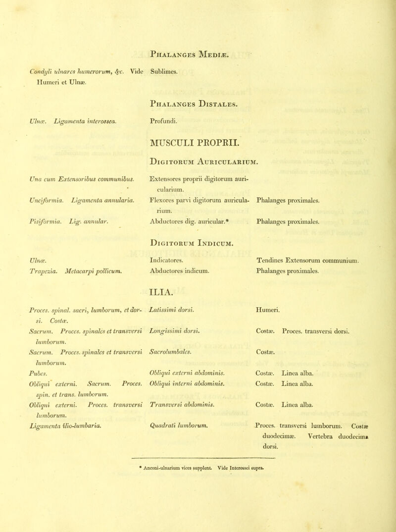 Condyli ulnares humerorum, Sfc. Vide Sublimes. Humeri et Ulnae. Phalanges Distales. Ulnae. Ligamenta interossea. Profundi. MUSCULI PKOPRII. Digitorum Auricularium. Una cum Extensoribus communibus. Unciformia. Ligamenta annularia. Pisiformia. Lig. annular. Ulnae. Trapezia. Metacarpi pollicum. Extensores proprii digitorum auri- cularium. Flexores parvi digitorum auricula- rium. Abductores dig. auricular.* Digitorum Indicum. Indicatores. Abductores indicum. Phalanges proximales. Phalanges proximales. Tendines Extensorum communium. Phalanges proximales. ILIA. Proces. spinal, sacri, lumborum, etdor- Latissimi dorsi. si. Costae. Sacrum. Proces. spinales et transversi Longissimi dorsi. lumborum. Sacrum. Proces. spinales et transversi Sacrolumbales. lumborum. Pubes. Obliqui externi abdominis. Obliqui externi. Sacrum. Proces. Obliqui interni abdominis, spin, et trans. lumborum. Obliqui externi. Proces. transversi Transversi abdominis, lumborum. Ligamenta ilio-lumbaria. Quadrati lumborum. Humeri. Costae. Proces. transversi dorsi. Costae. Costae. Linea alba. Costae. Linea alba. Costae. Linea alba. Proces. transversi lumborum. Costae duodecimae. Vertebra duodecima dorsi. Anconi-ulnarium vices supplent. Vide Interossei supra.