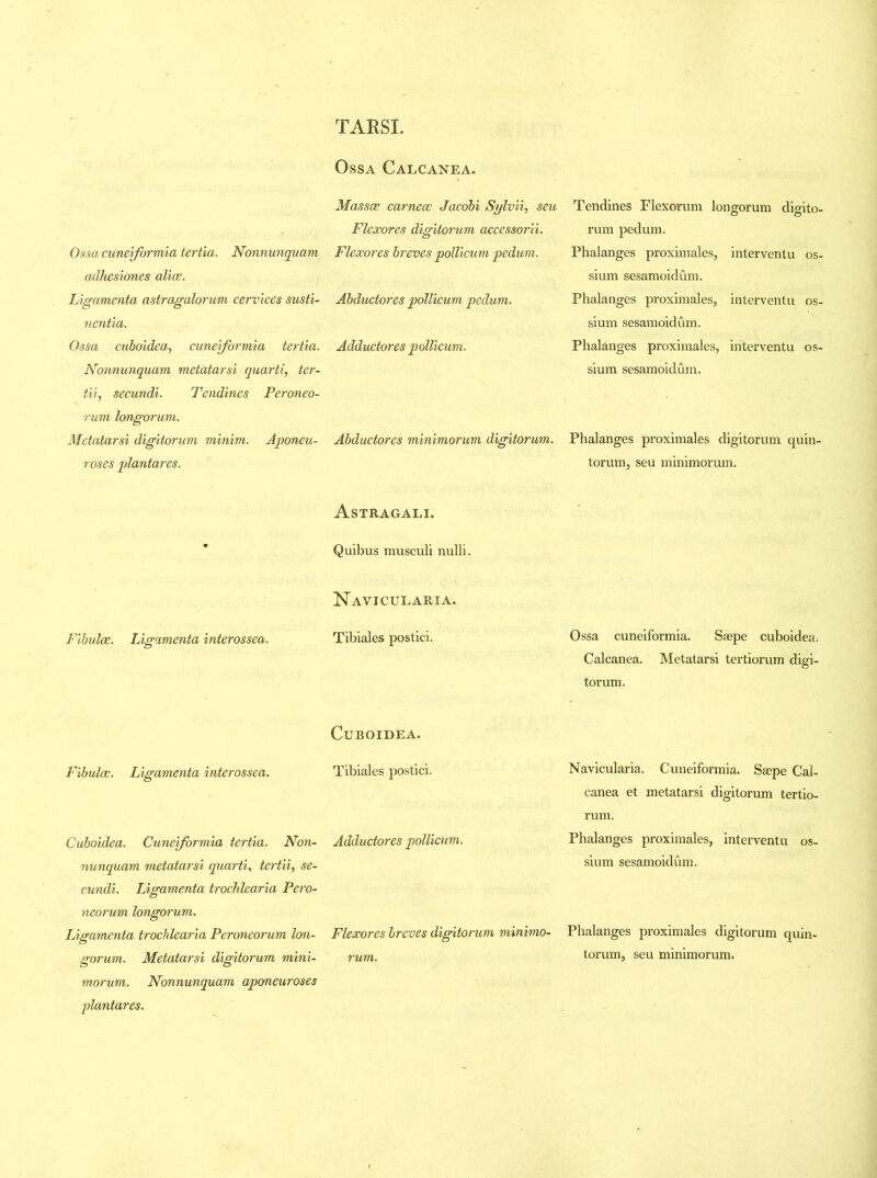 TARSI. Ossa cuneiformia tertia. Nonnunquam adhesiones alias. Ligamenta astragalorum cervices susti- nentia. Ossa cuboidea, cuneiformia tertia. Nonnunquam metatarsi quarti, ter- tii, secundi. Tendines Peroneo- runt longorum. Metatarsi digitorum minim. Aponeu- roses plantares. Fibulae. Ligamenta interossea. Fibulas. Ligamenta interossea. Cuboidea. Cuneiformia tertia. Non- nunquam metatarsi quarti, tertii, se- cundi. Ligamenta trochlearia Pero- neorum longorum. Ligamenta trochlearia Peroneorum lon- gorum. Metatarsi digitorum mini- morum. Nonnunquam aponeuroses plantares. Ossa Calcanea. Massas carneas Jacobi Sylvii, seu Flexores digitorum accessorii. Flexores breves pollicum pedum. Abductores pollicum pedum. Adductores pollicum. Abductores minimorum digitorum. Astragali. Quibus musculi nulli. Navicularia. Tibiales postici. Cuboidea. Tibiales postici. Adductores pollicum. Flexores breves digitorum minimo- rum. Tendines Flexorum longorum digito- rum pedum. Phalanges proximales, interventu os- sium sesamoidum. Phalanges proximales, interventu os- sium sesamoidum. Phalanges proximales, interventu os- sium sesamoidum. Phalanges proximales digitorum quin- torum, seu minimorum. Ossa cuneiformia. Saspe cuboidea. Calcanea. Metatarsi tertiorum digi- torum. Navicularia. Cuneiformia. Ssepe Cal- canea et metatarsi digitorum tertio- rum. Phalanges proximales, interventu os- sium sesamoidum. Phalanges proximales digitorum quin- torum, seu minimorum.