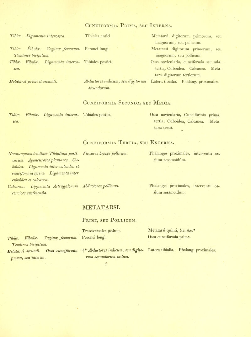 CUNEIFORMIA PRIMA, SEU INTERNA. Tibia;. Ligamenta interossea. Tibiae. Fibula;. Vaginae femorum. Tendines bicipitum. Tibiae. Fibula;. Ligamenta interos- sea. Metatarsi primi et secundi. Tibiales antici. Peronei longi. Tibiales postici. Abductores indicum, seu digitorum secundorum. Metatarsi digitorum primorum, seu magnorum, seu pollicum. Metatarsi digitorum primorum, seu magnorum, seu pollicum. Ossa navicularia, cuneiformia secunda, tertia, Cuboidea. Calcanea. Meta- tarsi digitorum tertiorum. Latera tibialia. Phalang. proximales. Cuneiformia Secunda, seu Media. Tibiae. Fibulae. Ligamenta interos- sea. Nonnunquam tendines Tibialium posti- corum. Aponeuroses plantares. Cu- boidea. Ligamenta inter cuboidea et cuneiformia tertia. Ligamenta inter cuboidea et calcanea. Calcanea. Ligamenta Astragalorum cervices sustinentia. Tibiae. Fibulae. Vaginae Jemorum. Tendines bicipitum. Metatarsi secundi. Ossa cuneiformia prima, seu interna. Tibiales postici. Cuneiformia Tertia, seu Flexor es breves pollicum. Abductores pollicum. METATAESI. Primi, seu Pollicum. Transversales pedum. Peronei longi. f* Abductores indicum, seu digito- rum secundorum pedum. Ossa navicularia, Cuneiformia prima, tertia, Cuboidea, Calcanea. Meta- tarsi tertii. Externa. Phalanges proximales, interventu os. sium sesamoidum. Phalanges proximales, interventu os- sium sesamoidum. Metatarsi quinti, &c. &c.* Ossa cuneiformia prima. Latera tibialia. Phalang. proximales.