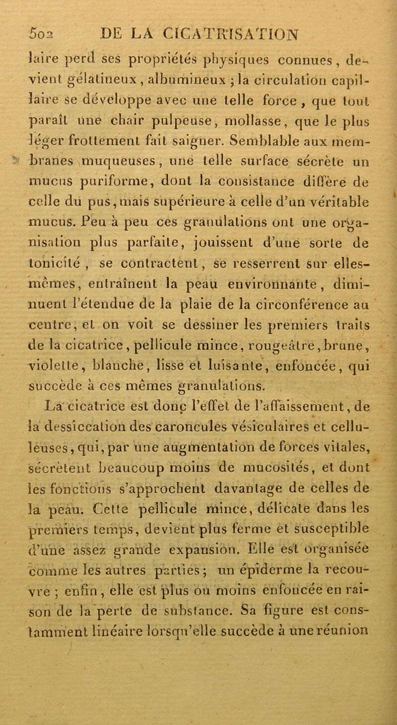 laire perd ses propriétés physiques connues, de- vient gélatineux, albumineux ; la circulation capil- laire se développe avec une telle force , que tout paraît une chair pulpeuse, mollasse, que le plus léger frottement fait saigner. Semblable aux mem- branes muqueuses, une telle surface sécrète un mucus puriforme, dont la consistance diffère de celle du pus,mais supérieure à celle d’un véritable mucus. Peu à peu ces granulations ont une orga- nisalibn plus parfaite, jouissent d’une sorte de tonicité , se contractent, se resserrent sur elles- mêmes, entraînent la peau environnante, dimi- nuent l’étendue de la plaie de la circonférence au centre, et on voit se dessiner les premiers traits de la cicatrice, pellicule mince, rougeâtre,brune, violette, blanche, lisse et luisante, enfoncée, qui succède à ces mêmes granulations. La cicatrice est donp l’effet de l’affaissement, de la dessiccation des caroncules vésiculaires et cellu- leuses, qui, par une augmentation de forces vitales, sécrètent beaucoup moins de mucosités, et dont les fonctions s’approchent davantage de celles de la peau. Cette pellicule mince, délicate dans les premiers temps, devient plus ferme et susceptible d’une assez grande expansion. Elle est organisée comme les autres parties; un épiderme la recou- vre ; enfin , elle est plus ou moins enfoncée en rai- son de la perte de substance. Sa figure est cons- lamment linéaire lorsqu’elle succède à une réunion
