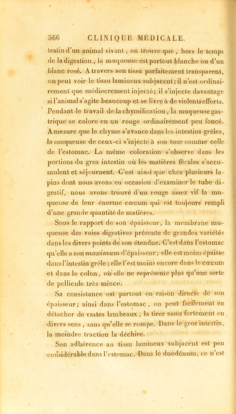 9 566 CLINIQUE MÉDICALE. lestin d’un animal vivant, on trouve que, hors le temps de la digestion , la muqueuse est partout blanche ou d’un blanc rosé. A travers son tissu parfaitement transparent, on peut voir le tissu lamineux subjacent; il n’est ordinai- rement que médiocrement injecté; il s’injecte davantage si l’animal s’agite beaucoup et se livre b de violents efforts. Pendant le travail de la chymification , la muqueuse gas- trique se colore en un rouge ordinairement peu foncé. A mesure que le chyme s’avance dans les intestins grêles, la muqueuse de ceux-ci s’injecte à son tour comme celle de l’estomac. La même coloration s’observe dans les portions du gros intestin où les matières fécales s accu- mulent et séjournent. C’est ainsi que chez plusieurs la- pins dont nous avons eu occasion d’examiner le tube di- gestif, nous avons trouvé d’un rouge assez vif la mu- queuse de leur énorme cæcum qui est toujours rempli d’une grande quantité de matières. Sous le rapport de sou épaisseur, la membrane mu- queuse des voies digestives présente de grandes variétés dans les divers points de son étendue. C’est dans l’estomac qu’elle a son maximum d’épaisseur; elle est moins épaisse dans l’intestin grêle ; elle l’est moins encore dans le cæcum et dans le colon , où elle ne représente plus qu’une sorte de pellicule très mince. Sa consistance est partout en raison directe de son épaisseur; ainsi dans l’estomac, on peut facilement en détacher de vastes lambeaux , la tirer assez fortement en divers sens , sans qu’elle se rompe. Dans le gros intestin, la moindre traction la déchire. Son adhérence au tissu lamineux subjacent est peu considérable dans l’estomac. Dans le duodénum, ce n’est