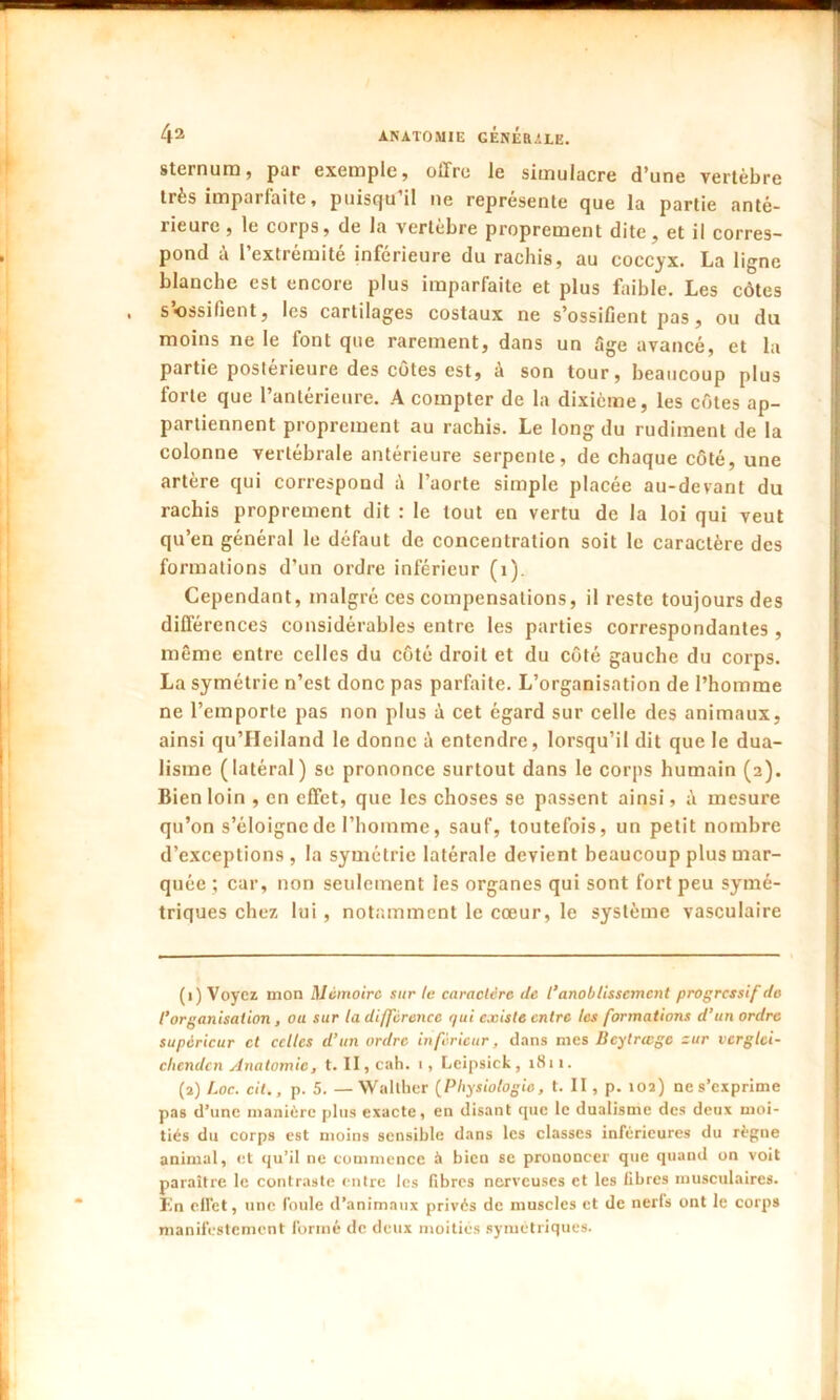 sternum, par exemple, offre le simulacre d’une vertèbre très imparfaite, puisqu’il ne représente que la partie anté- rieure , le corps, de la vertèbre proprement dite, et il corres- pond à l’extrémité inférieure du rachis, au coccyx. La ligne blanche est encore plus imparfaite et plus faible. Les côtes s’ossifient, les cartilages costaux ne s’ossifient pas, ou du moins ne le font que rarement, dans un fige avancé, et la partie postérieure des côtes est, à son tour, beaucoup plus forte que l’antérieure. A compter de la dixième, les côtes ap- partiennent proprement au rachis. Le long du rudiment de la colonne vertébrale antérieure serpente, de chaque côté, une artère qui correspond à l’aorte simple placée au-devant du rachis proprement dit : le tout en vertu de la loi qui veut qu’en général le défaut de concentration soit le caractère des formations d’un ordre inférieur (1). Cependant, malgré ces compensations, il reste toujours des différences considérables entre les parties correspondantes, même entre celles du côté droit et du côté gauche du corps. La symétrie n’est donc pas parfaite. L’organisation de l’homme ne l’emporte pas non plus à cet égard sur celle des animaux, ainsi qu’Heiland le donne à entendre, lorsqu’il dit que le dua- lisme (latéral) se prononce surtout dans le corps humain (2). Bien loin , en effet, que les choses se passent ainsi, à mesure qu’on s’éloigne de l’homme, sauf, toutefois, un petit nombre d’exceptions , la symétrie latérale devient beaucoup plus mar- quée ; car, non seulement les organes qui sont fort peu symé- triques chez lui , notamment le cœur, le système vasculaire (1) Voyez mon Mémoire sur le caractère de l’anoblissement progressif de l’organisation, ou sur la différence qui existe entre les formations d’un ordre supérieur et celles d’un ordre inférieur, dans mes Bcytrtcgc zur vcrglci- chendcn Anatomie, t. II,cah. 1, Leipsick, 1811. (2) Loc. cit., p. 5. — Walther (Physiologie, t. II, p. 102) ne s’exprime pas d’une manière plus exacte, en disant que le dualisme des deux moi- tiés du corps est moins sensible dans les classes inférieures du règne animal, et qu’il ne commence à bien se prononcer que quand on voit paraître le contraste entre les fibres nerveuses et les fibres musculaires. En ctfet, une foule d’animaux privés de muscles et de nerfs ont le corps manifestement formé de deux moitiés symétriques.