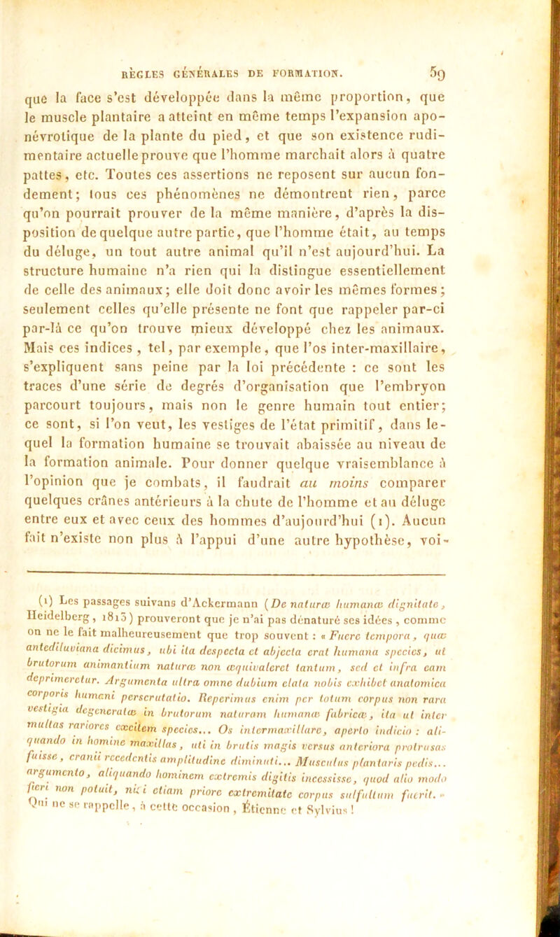 que la face s’est développée dans la même proportion, que le muscle plantaire a atteint en même temps l’expansion apo- névrolique de la plante du pied, et que son existence rudi- mentaire actuelle prouve que l’homme marchait alors à quatre pattes, etc. Toutes ces assertions ne reposent sur aucun fon- dement; tous ces phénomènes ne démontrent rien, parce qu’on pourrait prouver de la même manière, d’après la dis- position de quelque autre partie, que l’homme était, au temps du déluge, un tout autre animal qu’il n’est aujourd’hui. La structure humaine n’a rien qui la distingue essentiellement de celle des animaux; elle doit donc avoir les mêmes formes; seulement celles qu’elle présente ne font que rappeler par-ci par-là ce qu’on trouve qu'eux développé chez les animaux. Mais ces indices , tel, par exemple, que l’os inter-maxillaire, s’expliquent sans peine par la loi précédente : ce sont les traces d’une série de degrés d’organisation que l’embryon parcourt toujours, mais non le genre humain tout entier; ce sont, si l’on veut, les vestiges de l’état primitif, dans le- quel la formation humaine se trouvait abaissée au niveau de la formation animale. Pour donner quelque vraisemblance à l’opinion que je combats, il faudrait au moins comparer quelques crânes antérieurs à la chute de l’homme et au déluge entre eux et avec ceux des hommes d’aujourd’hui (1). Aucun fait n’existe non plus à l’appui d’une autre hypothèse, voi- (1) Les passages suivans d’Ackermann [De notarié humanœ dignitatc, Heidelberg , 1815) prouveront que je n’ai pas dénaturé ses idées , comme on ne le fait malheureusement que trop souvent : 0 Fucrc temporel, quee antcdiluuiana dicimus, ubi ila dcspccia et objecta erat Humana spccics, ut brutorum animanlium naturte non œquivalcrct tantum, sed et infra cam deprimeretur. Argumenta ultra omne dubium clata nobis exhibet anatomica corports liumcni perscrutatio. Repcrimus cnim per totum corpus non rara vestigia dcgcncratie in brutorum naturam humante fibricæ, ila ut inter mullas rariorcs cxcitcm spccics... Os inlcrmaocillare, aperlo indicio : ali- qtiando in homine maxillas , uti , uti in brutis magis versus anlcriora prolrusas