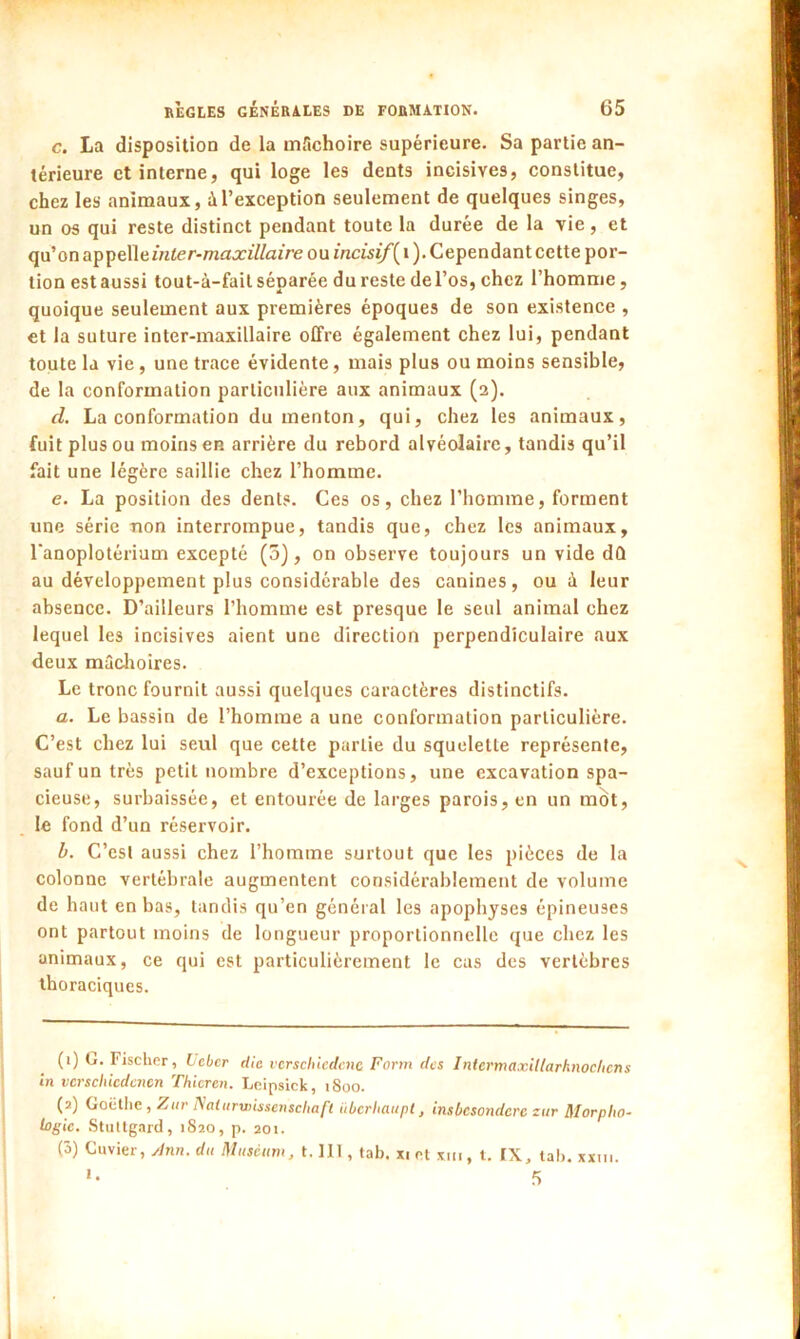 c. La disposition de la mâchoire supérieure. Sa partie an- térieure et interne, qui loge les dents incisives, constitue, chez les animaux, à l'exception seulement de quelques singes, un os qui reste distinct pendant toute la durée de la vie, et qu’on inter-maxillaire ou incisif{\). Cependant cette por- tion est aussi tout-à-fait séparée du reste de l'os, chez l’homme, quoique seulement aux premières époques de son existence , et la suture inter-maxillaire offre également chez lui, pendant toute la vie, une trace évidente, mais plus ou moins sensible, de la conformation particulière aux animaux (2). d. La conformation du menton, qui, chez les animaux, fuit plus ou moins en arrière du rebord alvéolaire, tandis qu’il fait une légère saillie chez l’homme. e. La position des dents. Ces os, chez l’homme, forment une série non interrompue, tandis que, chez les animaux, l'anoplotérium excepté (5), on observe toujours un vide dû au développement plus considérable des canines, ou à leur absence. D’ailleurs l’homme est presque le seul animal chez lequel les incisives aient une direction perpendiculaire aux deux mâchoires. Le tronc fournit aussi quelques caractères distinctifs. a. Le bassin de l’homme a une conformation particulière. C’est chez lui seul que cette partie du squelette représente, sauf un très petit nombre d’exceptions, une excavation spa- cieuse, surbaissée, et entourée de larges parois, en un mot, le fond d’un réservoir. b. C’est aussi chez l’homme surtout que les pièces de la colonne vertébrale augmentent considérablement de volume de haut en bas, tandis qu’en général les apophyses épineuses ont partout moins de longueur proportionnelle que chez les animaux, ce qui est particulièrement le cas des vertèbres thoraciques. (1) G. Fischer, Lebcr die vcrschiedcnc Form des Intermaxillarhnochens in verschicdcnen Thieren. Leipsick, 1800. (2) Goethe, Zur Naturwisserischaft überbaupt, insbcsondcrc zur Morpho- logie. Stuttgart!, 1820, p. 201. (3) Cuvier, Ann. du Muséum, t. lit, tab. xi et xm, t. IX, tab. xxm. 1 • 5