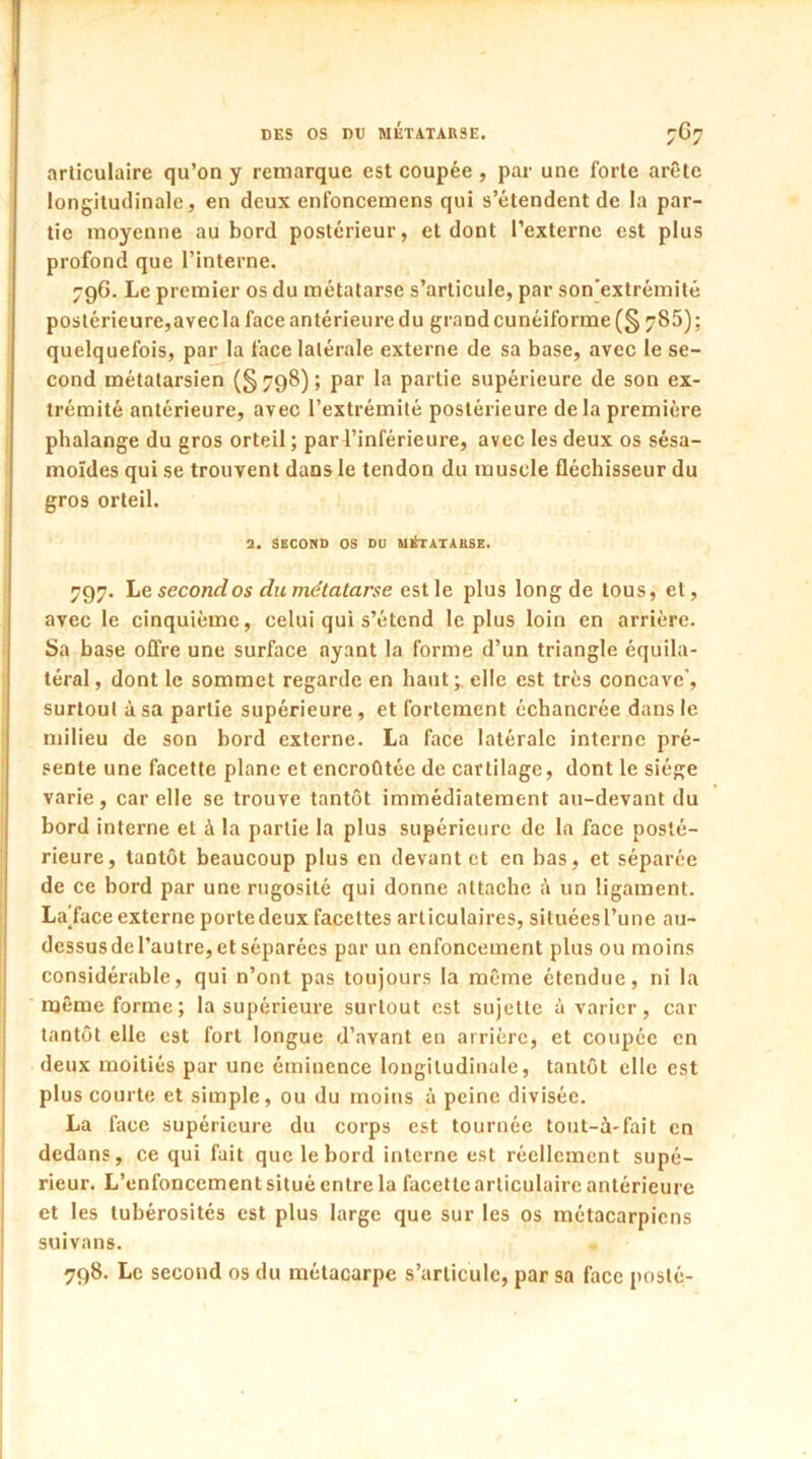 articulaire qu’on y remarque est coupée , par une forte arête longitudinale, en deux enfoncemens qui s’étendent de la par- tie moyenne au bord postérieur, et dont l’externe est plus profond que l’interne. 796. Le premier os du métatarse s’articule, par son'extrémité postérieure,avecla face antérieure du grand cunéiforme (§ 785); quelquefois, par la face latérale externe de sa base, avec le se- cond métatarsien (§798); par la partie supérieure de son ex- trémité antérieure, avec l’extrémité postérieure delà première phalange du gros orteil ; par l’inférieure, avec les deux os sésa- moïdes qui se trouvent dans le tendon du muscle fléchisseur du gros orteil. 2. SECOND OS DU M1&TATAllSE. 797. Le second os du métatarse est le plus long de tous, et, avec le cinquième, celui qui s’étend le plus loin en arrière. Sa base offre une surface ayant la forme d’un triangle équila- téral, dont le sommet regarde en haut;, elle est très concave, surtout à sa partie supérieure, et fortement échancrée dans le milieu de son bord externe. La face latérale interne pré- sente une facette plane et encroûtée de cartilage, dont le siège varie, car elle se trouve tantôt immédiatement au-devant du bord interne et à la partie la plus supérieure de la face posté- rieure, tantôt beaucoup plus en devant et en bas, et séparée de ce bord par une rugosité qui donne attache à un ligament. La'faceexterne portedeux facettes articulaires, situéesl’une au- dessus de l’autre, et séparées par un enfoncement plus ou moins considérable, qui n’ont pas toujours la même étendue, ni la même forme; la supérieure surtout est sujette à varier, car tantôt elle est fort longue d’avant en arrière, et coupée en deux moitiés par une éminence longitudinale, tantôt elle est plus courte et simple, ou du moins à peine divisée. La face supérieure du corps est tournée tout-à-fait en dedans, ce qui fait que le bord interne est réellement supé- rieur. L’enfoncement situé entre la facette articulaire antérieure et les tubérosités est plus large que sur les os métacarpiens suivans. 798. Le second os du métacarpe s’articule, par sa face posté-