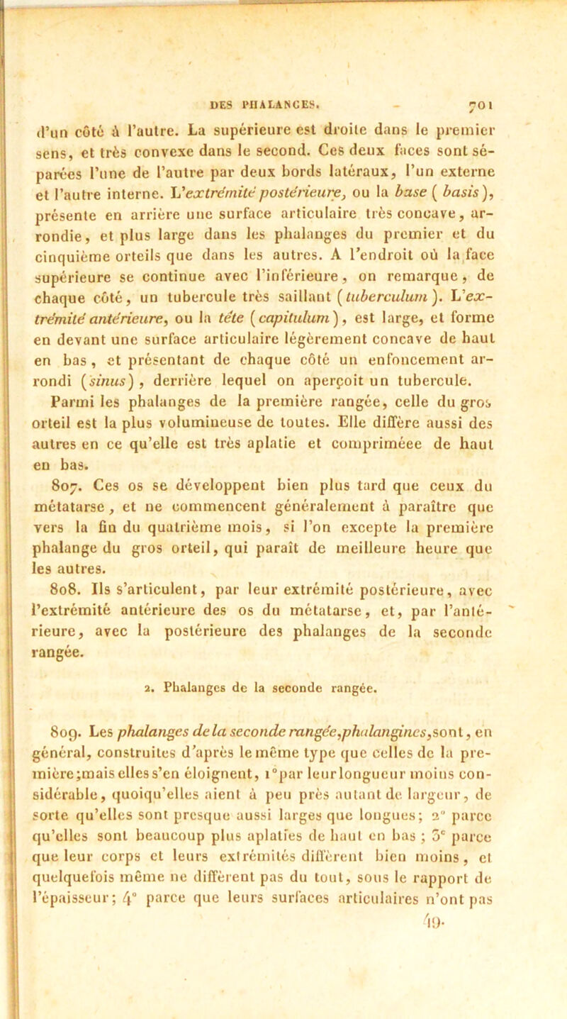 DES PHALANGES. d’un côté ù l’autre. La supérieure est droite dans le premier sens, et très convexe dans le second. Ces deux faces sont sé- parées l’une de l’autre par deux bords latéraux, l’un externe et l’autre interne. L'extrémitépostérieure, ou la buse ( basis), présente en arrière une surface articulaire très concave, ar- rondie, et plus large dans les phalanges du premier et du cinquième orteils que dans les autres. A l’endroit où la face supérieure se continue avec l’inférieure, on remarque, de chaque côté, un tubercule très saillant {tuberculum ). L’ex- trémilé anterieure, ou la tête ( capitulant ), est large, et forme en devant une surface articulaire légèrement concave de haut en bas , et présentant de chaque côté un enfoncement ar- rondi {'sinus) , derrière lequel on aperçoit un tubercule. Parmi les phalanges de la première rangée, celle du gros orteil est la plus volumineuse de toutes. Elle diffère aussi des autres en ce qu’elle est très aplatie et compriméee de haut 807. Ces os se développent bien plus tard que ceux du métatarse, et ne commencent généralement à paraître que vers la fin du quatrième mois, si l’on excepte la première phalange du gros orteil, qui paraît de meilleure heure que les autres. 808. Ils s’articulent, par leur extrémité postérieure, avec l’extrémité antérieure des os du métatarse, et, par l’anté- rieure, avec la postérieure des phalanges de la seconde rangée. 80g. Les phalanges de la seconde rangée,phalangincs,sont, en général, construites d’après le même type que celles de la pre- mière ;mais elles s’en éloignent, i°par leur longueur moins con- sidérable, quoiqu’elles aient à peu près autant de largeur, de sorte qu’elles sont presque aussi larges que longues; 3 parce qu’elles sont beaucoup plus aplaties de haut en bas ; 5e parce que leur corps et leurs extrémités diffèrent bien moins, et quelquefois même ne diffèrent pas du tout, sous le rapport de l’épaisseur; 4° parce que leurs surfaces articulaires n’ont pas en bas. 2. Phalanges de la seconde rangée.