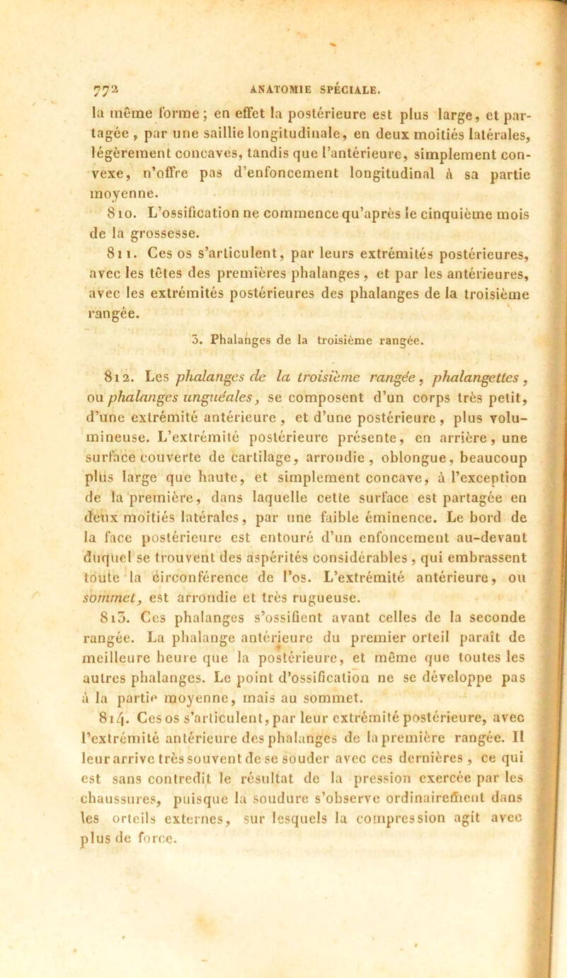 la même l'orme; en effet la postérieure est plus large, et par- tagée , par une saillie longitudinale, en deux moitiés latérales, légèrement concaves, tandis que l’antérieure, simplement con- vexe, n’offre pas d’enfoncement longitudinal A sa partie moyenne. 810. L’ossification ne commence qu’après le cinquième mois de la grossesse. 811. Ces os s’articulent, par leurs extrémités postérieures, avec les têtes des premières phalanges, et par les antérieures, avec les extrémités postérieures des phalanges de la troisième rangée. 3. Phalanges de la troisième rangée. 812. Les phalanges cle la troisième rangée, phalangettes, ou phalanges unguéales, se composent d’un corps très petit, d’une extrémité antérieure, et d’une postérieure, plus volu- mineuse. L’extrémité postérieure présente, en arrière, une surface couverte de cartilage, arrondie, oblongue, beaucoup plus large que haute, et simplement concave, A l’exception de la première, dans laquelle cette surface est partagée en deux moitiés latérales, par une faible éminence. Le bord de la face postérieure est entouré d’un enfoncement au-devant duquel se trouvent des aspérités considérables , qui embrassent toute la circonférence de l’os. L’extrémité antérieure, ou sommet, est arrondie et très rugueuse. 8i5. Ces phalanges s’ossifient avant celles de la seconde rangée. La phalange antérieure du premier orteil paraît de meilleure heure que la postérieure, et même que toutes les autres phalanges. Le point d’ossification ne se développe pas à la partie moyenne, mais au sommet. 81/j. Ces os s’articulent, par leur extrémité postérieure, avec l’extrémité antérieure des phalanges de la première rangée. Il leur arrive trèssouvent de se souder avec ces dernières, ce qui est sans contredit le résultat de la pression exercée par les chaussures, puisque la soudure s’observe ordinairefficnt dans les orteils externes, sur lesquels la compression agit avec plus de force.