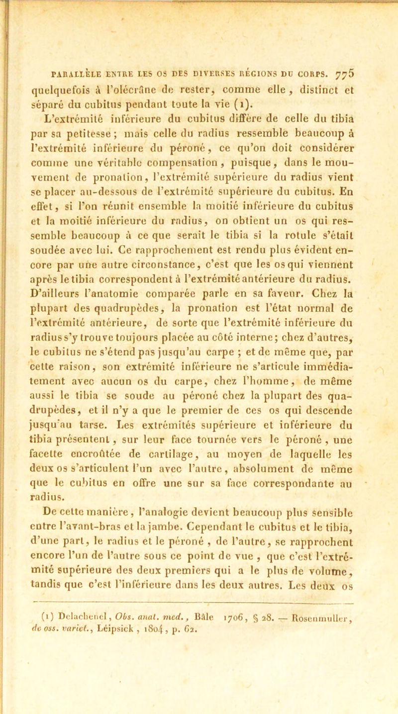 quelquefois l’olécrfcne de rester, comme elle, distinct et séparé du cubitus pendant toute la vie (j). L’extrémité inférieure du cubitus diffère de celle du tibia par sa petitesse ; mais celle du radius ressemble beaucoup à l’extrémité inférieure du péroné, ce qu’on doit considérer comme une véritable compensation, puisque, dans le mou- vement de pronalion, l’extrémité supérieure du radius vient se placer au-dessous de l’extrémité supérieure du cubitus. En effet, si l’on réunit ensemble la moitié inférieure du cubitus et la moitié inférieure du radius, on obtient un os qui res- semble beaucoup à ce que serait le tibia si la rotule s’était soudée avec lui. Ce rapprochement est rendu plus évident en- core par une autre circonstance, c’est que les os qui viennent après le tibia correspondent à l’extrémité antérieure du radius. D’ailleurs l’anatomie comparée parle en sa faveur. Chez la plupart des quadrupèdes, la pronation est l’état normal de l’extrémité antérieure, de sorte que l’extrémité inférieure du radius s’y trouve toujours placée au côté interne; chez d’autres, le cubitus ne s’étend pas jusqu’au carpe ; et de même que, par cette raison, son extrémité inférieure ne s’articule immédia- tement avec aucun os du carpe, chez l’homme, de même aussi le tibia se soude au péroné chez la plupart des qua- drupèdes, et il n’y a que le premier de ces os qui descende jusqu’au tarse. Les extrémités supérieure et inférieure du tibia présentent, sur leur face tournée vers le péroné , une facette encroûtée de cartilage, au moyen de laquelle les deux os s’articulent l’un avec l’autre, absolument de même que le cubitus en offre une sur sa face correspondante au radius. De cette manière, l’analogie devient beaucoup plus sensible entre l’avant-bras et la jambe. Cependant le cubitus et le tibia, d’une part, le radius et le péroné , de l’autre, se rapprochent encore l’un de l’autre sous ce point de vue , que c’est l’extré- mité supérieure des deux premiers qui a le plus de volume, tandis que c’est l’inférieure dans les deux autres. Les deux os (O Delachenel, Obs. anal. med., Bâle. 1706, § 28. — Rosenmuller, deoss. varie/., Léipsick , 1804, P- 62.