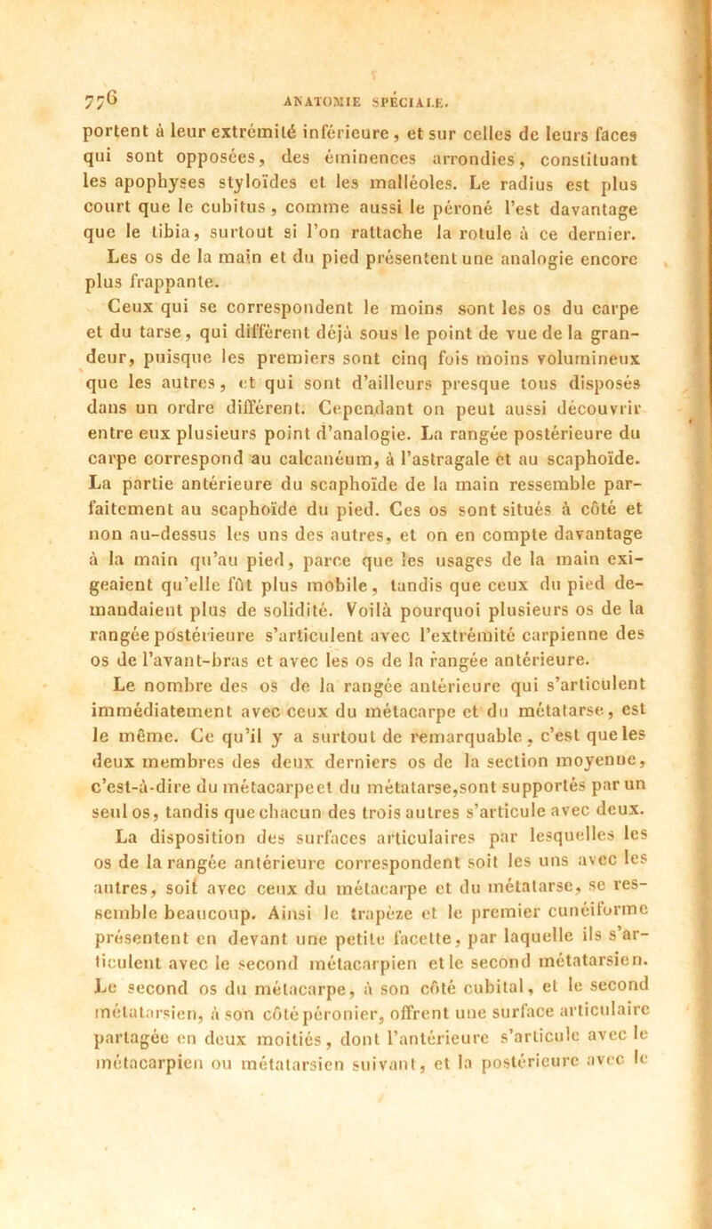 portent à leur extrémité inférieure , et sur celles de leurs face9 qui sont opposées, des éminences arrondies, constituant les apophyses styloïdes et les malléoles. Le radius est plus court que le cubitus , comme aussi le péroné l’est davantage que le tibia, surtout si l’on rattache la rotule à ce dernier. Les os de la main et du pied présentent une analogie encore plus frappante. Ceux qui se correspondent le moins sont les os du carpe et du tarse, qui différent déjà sous le point de vue de la gran- deur, puisque les premiers sont cinq fois moins volumineux que les autres, et qui sont d’ailleurs presque tous disposés dans un ordre différent. Cependant on peut aussi découvrir entre eux plusieurs point d’analogie. La rangée postérieure du carpe correspond au calcanéum, à l’astragale èt au scaphoïde. La partie antérieure du scaphoïde de la main ressemble par- faitement au scaphoïde du pied. Ces os sont situés à côté et non au-dessus les uns des autres, et on en compte davantage à la main qu’au pied, parce que les usages de la main exi- geaient qu’elle fût plus mobile, tandis que ceux du pied de- mandaient plus de solidité. Voilà pourquoi plusieurs os de la rangée postérieure s’articulent avec l’extrémité carpienne des os de l’avant-bras et avec les os de la rangée antérieure. Le nombre des os de la rangée antérieure qui s’articulent immédiatement avec ceux du métacarpe et du métatarse, est le même. Ce qu’il y a surtout de remarquable , c’est que les deux membres des deux derniers os de la section moyenne, c’est-à-dire du métacarpect du métatarse,sont supportés par un seul os, tandis que chacun des trois autres s’articule avec deux. La disposition des surfaces articulaires par lesquelles les os de la rangée antérieure correspondent soit les uns avec les autres, soit avec ceux du métacarpe et du métatarse, se res- semble beaucoup. Ainsi le trapèze et le premier cunéiforme présentent en devant une petite facette, par laquelle ils s ar- ticulent avec le second métacarpien et le second métatarsien. Le second os du métacarpe, à son côté cubital, et le second métatarsien, à son côté péronier, offrent une surface articulaire partagée en doux moitiés, dont l’antérieure s’articule avec le métacarpien ou métatarsien suivant, et la postérieure avec le