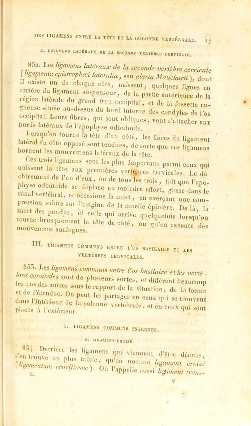 3. IICAMEKS LATÉBABX DE DA SECONDE VERIÈBBE CKBVICAtB. 852. Les /igamens latéraux de la seconde vertèbre cervicale { hçar^enta epistrophæi lateralia, seu alariaMaucharti\ dont 1 existe un de chaque coté, naissent, quelques li-nes en ainère du ligament suspenseur, de la partie antérieu're de la région latérale du grand trou occipital, et de la fossette ru- gueuse situee au-dessus du bord interne des c.ondjles de l’os occ|pital Leurs fibres, qui sont obliques, vont s’aUacher aux bords latéraux de 1 apophyse odontoïde. Lorsqu’on tourne la tête d’un côté, ‘les fibres du ligament atcral du cote opposé sont tendues, de sorte que ces ligarnens bornent les mouvemens latéraux de la tête. Ces liois ligarnens sonl les pins imporlàns parmi ceux qui unissent la tete aux premières vcrl^bres cervicales. Le dè ch.remem de l'uu d'eux, on de tous les Mois , lai. eue l'apo- pliyse odontoïde se déplace an moindre effort, clisse dans le canal vertétral, et occasione la mort, en exerçant ni cm,I- piession subne sur |•ol■igine de la moelle épinière. De lù la mort des pendus, et celle qui arrive qneîqnolois loriu'on ourne brusquement la tête de cfilé , ou q^on exécute des mouvemens analogues. ni. LIGAMENS COMMUNS ENTRE l’os BASILAIRE ET LES VERTÈBRES CERVICALES. 853, Les Uga„u;m commam entre l’os basilaire et les vent- lcs‘û,“Ztm «deî'étmle'r ‘1“ dîne !’■ I' ■ i'* pattagcr en ceux qui se trouvent pi::: r?c:Xi::u? -«^™'».-n:euxquisr„; 1. LIGAMENS COMMUNS INTERNE.S. a. LIGAMENT CBOISlt. i‘^^ l'ganicns qui viennent d’être décrits (l!nm ^ *‘^‘*^**^’ qu’on nomme ligai/umt croise' ( ”T  « '•-ppello aussi A^nien, Z:! a