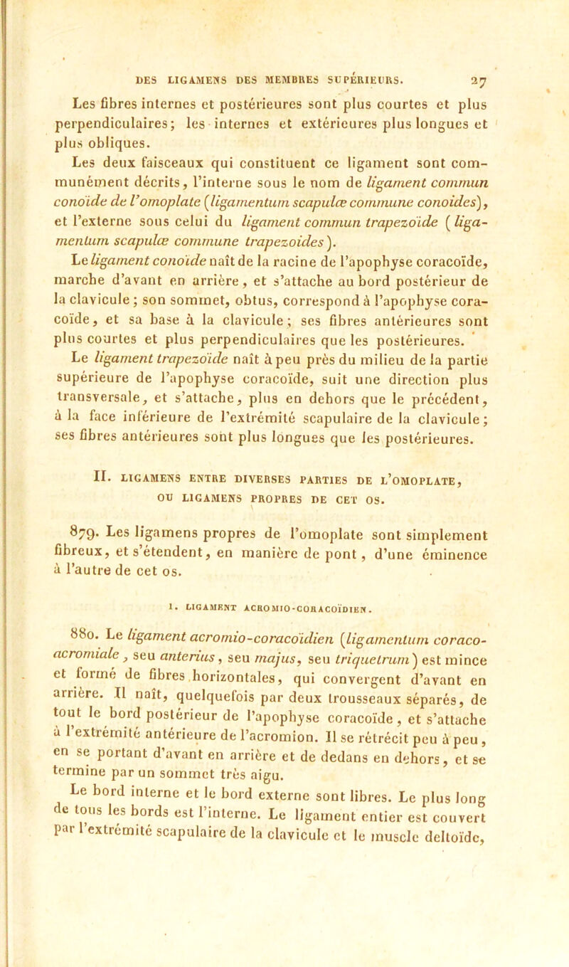 Les libres internes et postérieures sont plus courtes et plus perpendiculaires; les internes et extérieures plus longues et plus obliques. Les deux faisceaux qui constituent ce ligament sont com- munément décrits, l’interne sous le nom de ligament commun conoide de l’omoplate (^ligarnentum scapulce commune conoides’)y et l’externe sous celui du ligament commun trapezdide {^liga- mentum scapulœ commune trapezoides). ligament conoïde naît A& la racine de l’apophyse coracoïde, marche d’avant en arrière , et s’attache au bord postérieur de la clavicule ; son sommet, obtus, correspond à l’apophyse cora- coïde, et sa hase à la clavicule ; ses fibres antérieures sont plus courtes et plus perpendiculaires que les postérieures. Le ligament trapezdide naît à peu près du milieu de la partie supérieure de l’apophyse coracoïde, suit une direction plus transversale, et s’attache, plus en dehors que le précédent, à la face inférieure de l’extrémité scapulaire de la clavicule; ses fibres antérieures sont plus longues que les postérieures. II. LIGAMENS ENTRE DIVERSES PARTIES DE E’oMOPLATE, OU LIGAMENS PROPRES DE CET OS. \ 879. Les ligamens propres de l’omoplate sont simplement fibreux, et s étendent, en manière de pont, d’une éminence à l’autre de cet os. 1 • LIGAMENT ACBO MlO*COH ACOÏDIHN • 880. Le ligament acromio-coracdidien {ligarnenlum coraco- acromiale , seu antenus, seu majus, seu triguelrum'j est mince et formé de fibres horizontales, qui convergent d’avant en arrière. Il naît, quelquefois par deux trousseaux séparés, de tout le bord postérieur de l’apophyse coracoïde, et s’attache à 1 extrémité antérieure de l’acromion. Il se rétrécit peu à peu, en se portant d’avant en arrière et de dedans en dehors, et se termine par un sommet très aigu. Le hord interne et le bord externe sont libres. Le plus long de tons les bords est l’interne. Le ligament entier est couvert par l’extrémité scapulaire de la clavicule et le muscle deltoïde.