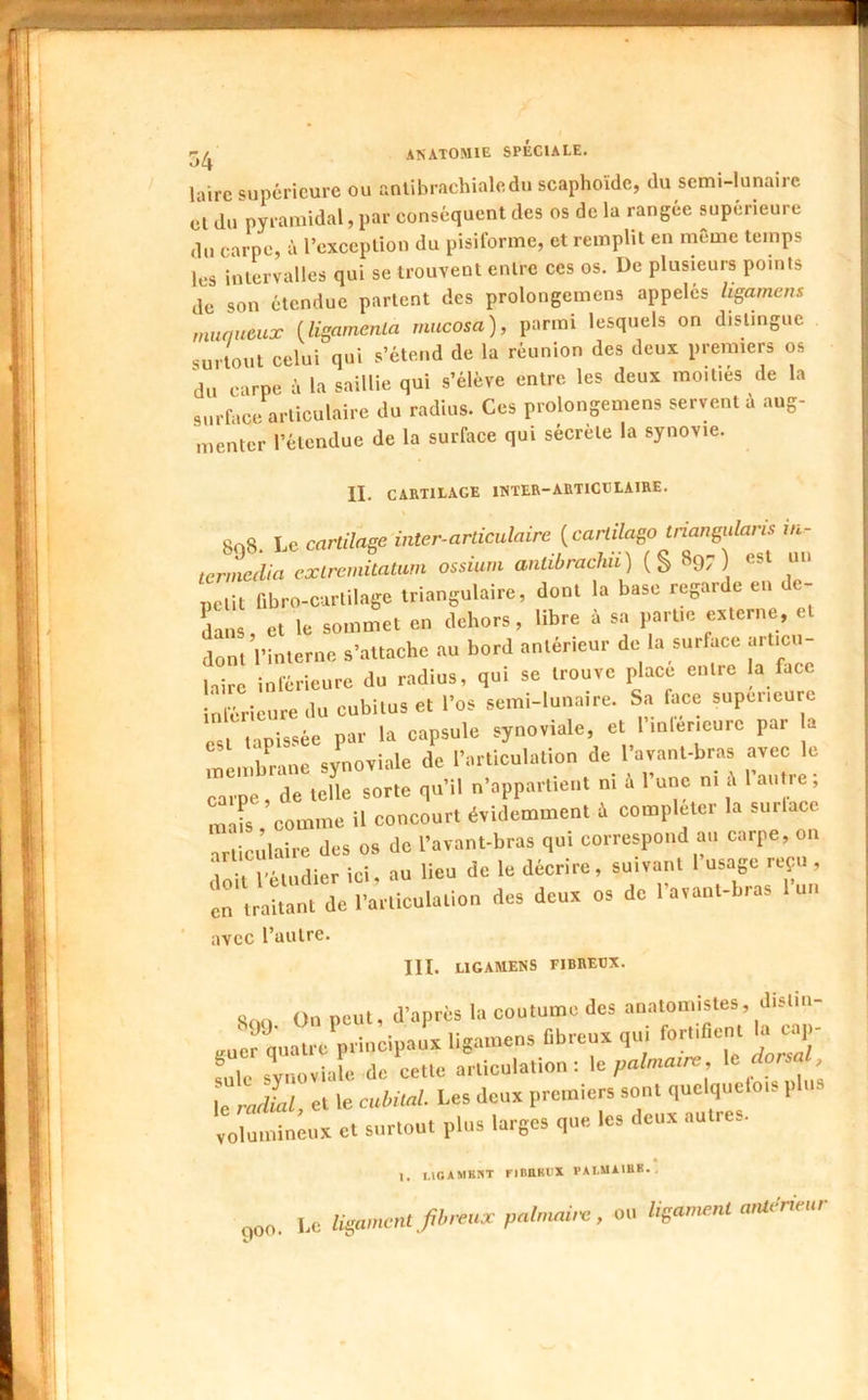 l iirc supérieure ou antihrachialedu scaphoïde, du semi-lunaire Cl du pyramidal, par conséquent des os de la rangée supérieure du carpe, à rcxccplion du pisiforme, et remplit en meme temps les intervalles qui se trouvent entre ces os. De plusieurs points de son étendue partent des prolongcmens appelés li^amcns muqueux {lisamenla mucosa), parmi lesquels on distingue surtout celui qui s’étend de la réunion des deux premiers os du carpe à la saillie qui s’élève entre les deux moitiés de la surface articulaire du radius. Ces prolongemens servent é aug- menter l’étendue de la surface qui sécrète la synovie. II. CARTILAGE INTER-ARTICTJLAIRE. 808. Le cartilage inter-articulaire {carlilago triangularis m- termedia extremitatum ossium antibrachu) (S 89;) est un petit fibro-curtilage triangulaire, dont la base regarde eu de- dans et le sommet en dehors, libre à sa partie externe, LntVinterne s’attache au bord antérieur de la surface art.cu- Snire inférieure du radius, qui se trouve place entre la face inférieure du cubitus et l’os semi-lunaire. Sa face supeiieure O I tapissée par la capsule synoviale, et l’inler.eure par a idfrme synoviale de l’articulation de l’avant-bras avec le c^atpe, de telle sorte qu’il n’appartient ni à l’une ni l’autre; Zi, comme il concourt évidemment ù compléter la surlace articulaire des os de l’avant-bras qui correspond au carpe, on doit l’étudier ici, au lieu de le décrire, suivant 1 ; en traitant de l’articulation des deux os de 1 avant-bias avec l’autre. III. LIGAMENS FIBREUX. Son On peut, d’après la coutume des anatomistes, distin- pri,«ipaux liga.nens qui for.,lient la cap- Julc syiioïlalc (le celle aniculation ; Wpalnuurc, e ors . le radial et le cubilal. Les doux premiers sont quelque ois p ,„;:u“„;ux e. s„r.ou. plus larges que. les deux autres. 1. ligambbt FinaKi’X pai.uaibk., 900. Le ligament fhreux palmaùe, ou ligament arUeneur