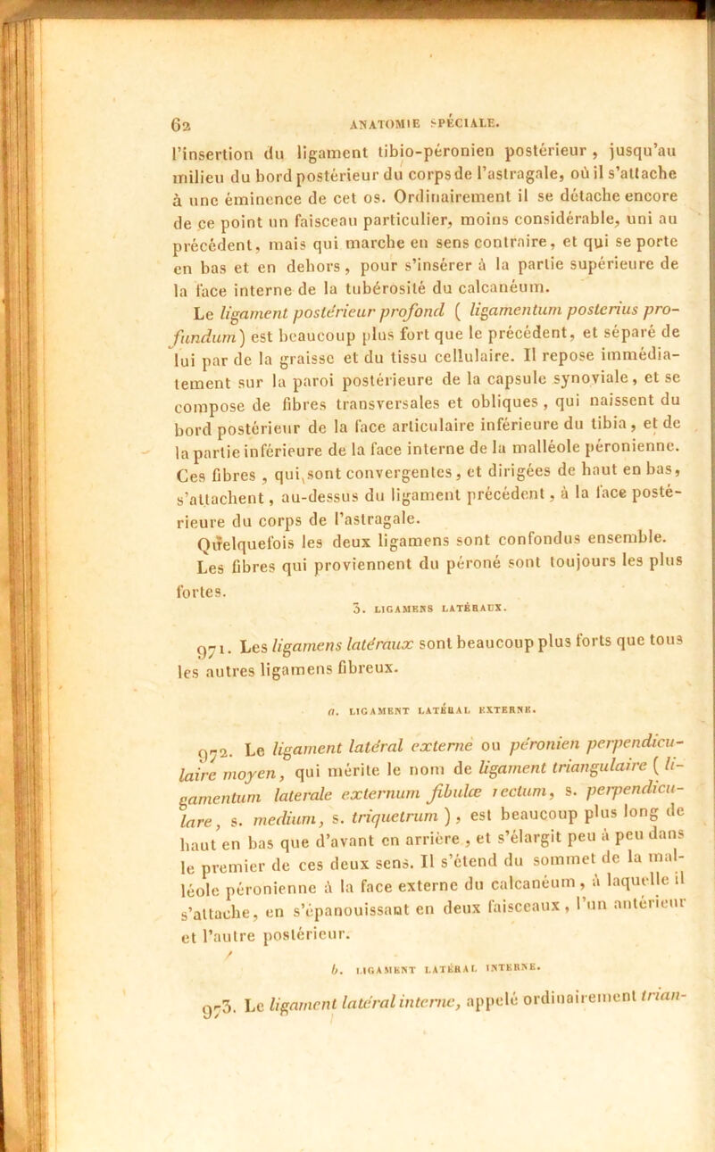 l’insertion du ligament tibio-péronien postérieur , jusqu’au milieu du bord postérieur du corps de l’astragale, où il s’attache à une éminence de cet os. Ordinairement il se détache encore de ce point un faisceau particulier, moins considérable, uni au précédent, mais qui marche en sens contraire, et qui se porte en bas et en dehors, pour s’insérer à la partie supérieure de la lace interne de la tubérosité du calcanéum. Le ligament postérieur profond ( ligamentum postenus pro- fundum^ est beaucoup [ilus fort que le précèdent, et séparé de lui par de la graisse et du tissu cellulaire. Il repose immédia- tement sur la paroi postérieure de la capsule synoviale, et se compose de fibres transversales et obliques , qui naissent du bord postérieur de la face articulaire inférieure du tibia, et de la partie inférieure de la face interne de la malléole péronienne. Ces fibres , qui^sont convergentes, et dirigées de haut en bas, s’attachent, au-dessus du ligament précédent, à la face posté- rieure du corps de l’astragale. Quelquefois les deux ligamens sont confondus ensemble. Les fibres qui proviennent du péroné sont toujours les plus fortes. 5. LIGAMKBS LiTÉBADX. 971. Les ligamens latéraux sont beaucoup plus forts que tous les autres ligamens fibreux. a. LIGAMENT LATKIIAL EXTERNE. 9^2. Le ligament latéral externe ou péronien perpendicu- laire moyen, qui mérite le nom de ligament triangulaire ( li- gamentum latérale externum fbulœ rectum, s. perpendicu- lare, s. medium, s. triquetrum ), est beaucoup plus long de haut’en bas que d’avant en arriére , et s’élargit peu à peu dans le premier de ces deux sens. Il s’étend du sommet de la inal- léolc péronienne à la face externe du calcanéum , é laquelle il s’attache, en s’épanouissant en deux faisceaux , 1 un antérieui et l’autre postérieur. / b. I.IGAMENT LATERAL INTERNE. gr3. Le ligament latéral interne, appelé ordinairement tnan-