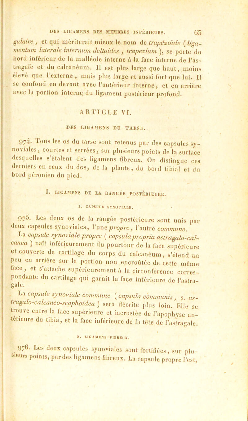 salaire , et qui mériterait mieux le nom de trapézoidc {tiga- inentuni laleralc internum deltoide.s , trapezium ), se porte du bord inférieur de la malléole interne à la face interne de l’as- tragale et du calcanéum. 11 est plus large que haut, moins élevé que l’externe, mais plus large et aussi fort que lui. Il se confond en devant avec l’antérieur interne, et en arrière avec la portion interne du ligament postérieur profond. ARTICLE VI. DES LIGAMENS DU TARSE. 074- Tous les os du tarse sont retenus par des capsules sy- noviales, courtes et serrées, sur plusieurs points de la surface desquelles s’étalent des ligamens fibreux. On distingue ces derniers en ceux du dos, de la plante, du bord tibial et du bord péronien du pied. I. LIGAMENS DE LA RANGEE POSTÉRIEURE. 1. CAPSULE SYNOVIALE. 973. Les deux os de la rangée postérieure sont unis par deux capsules synoviales, Vanc propre, l’autre commune. La capsule synoviale propre ( capsula propria astragalo-cal~ canea ) naît inférieurement du pourtour de la face supérieure et couverte de cartilage du corps du calcanéum, s’étend un peu en arrière sur la portion non encroûtée de cette même face, et s’attache supérieurement à la circonférence corres- pondante du cartilage qui garnit la face inférieure de l’astra- gale. . La capsule synoviale commune ( capsula cbmmunis , s. as- tragale-calcaneo-scaphoidea ) sera décrite plus loin. Elle se trouve entre la face supérieure et incrustée de l’apophyse an- terieure du tibia, et la face inférieure de la tête de l’astragale. 2. LIGAMENS PIBRECX. 976. Les deux capsules synoviales sont fortifiées, sur plu- 5'eurs points, pardes ligamens fibreux. La capsule propre l’est,