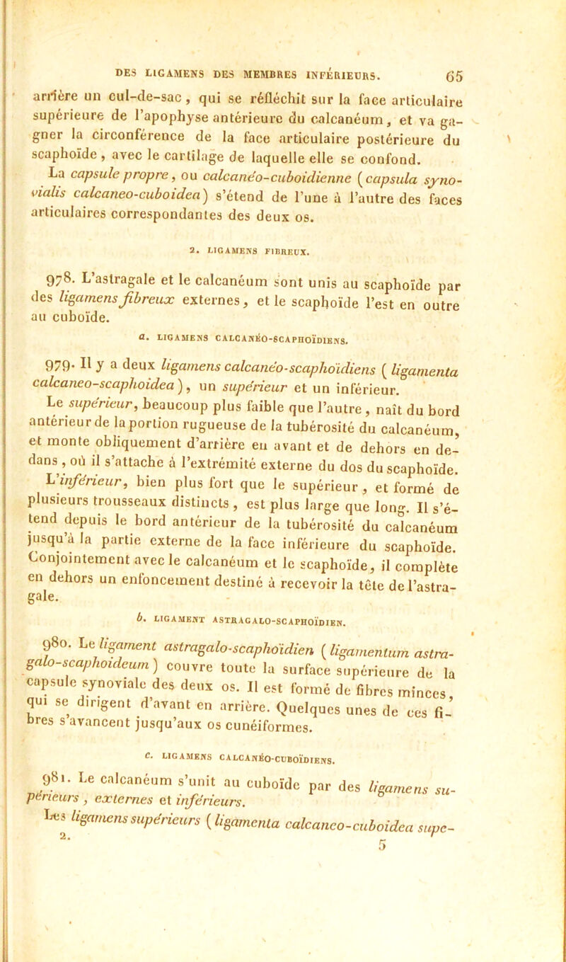 I DES UGAMENS DES MEMBRES INFÉRIEÜRS. G5 ariiere un cul-de-sac, qui se réfléchit sur la face articulaire supérieure de l’apophyse antérieure du calcanéum, et va ga- gner la circonférence de la face articulaire postérieure du ' scaphoïde , avec le cartilage de laquelle elle se confond. La capsule propre, ou calcanéo-cuboidienne {^capsula syno- vialis calcaneo-cuboiden) s’étend de l’une à l’autre des faces articulaires correspondantes des deux os. 2. LIGAUE!«S FIBREUX. 978. L astragale et le calcanéum sont unis au scaphoïde par des li^amensfibreux externes, et le scaphoïde l’est en outre au cuboïde. a. UGAMENS CALCANliO-SCAPnOÏDlBNS. 979. Il y a deux ligamens calcanéo-scaplididiens ( ligamenta calcaneo-scaphoidea), un supérieur et un inférieur. Le supérieur, beaucoup plus faible que l’autre , naît du bord antérieur de la portion rugueuse de la tubérosité du calcanéum, et monte obliquement d’arrière eu avant et de dehors en de- dans , où il s’attache à l’extrémité externe du dos du scaphoïde. L inférieur, bien plus fort que le supérieur, et formé de plusieurs trousseaux distincts , est plus large que long. Il s’é- tend depuis le bord antérieur de la tubérosité du calcanéum jusqu’à la partie externe de la face inférieure du scaphoïde. Conjomtemcnt avec le calcanéum et le scaphoïde, il complète en dehors un enfoncement destiné à recevoir la tête de l’astra- gale. b. LIGAMENT ASTHAG ALO-SCAPHOÏDIEN. 980. Le ligament astragalo-scaphoidien {ligamentum astra- galo-scaphoideum) couvre toute la surface supérieure de la capsule synoviale des deux os. Il est formé de fibres minces qui se dirigent d’avant en arrière. Quelques unes de ces fi- bres s avancent jusqu’aux os cunéiformes. LIGAMENS CALCANÉO-CÜBOÏDIENS. 98,. Le cnlcancum s'unit au cuboïde par des ligxmen, su- périe.iirs , externes et inférieurs, Le* ligamens supérieurs {ligamenta calcanco-cuboidea supc-