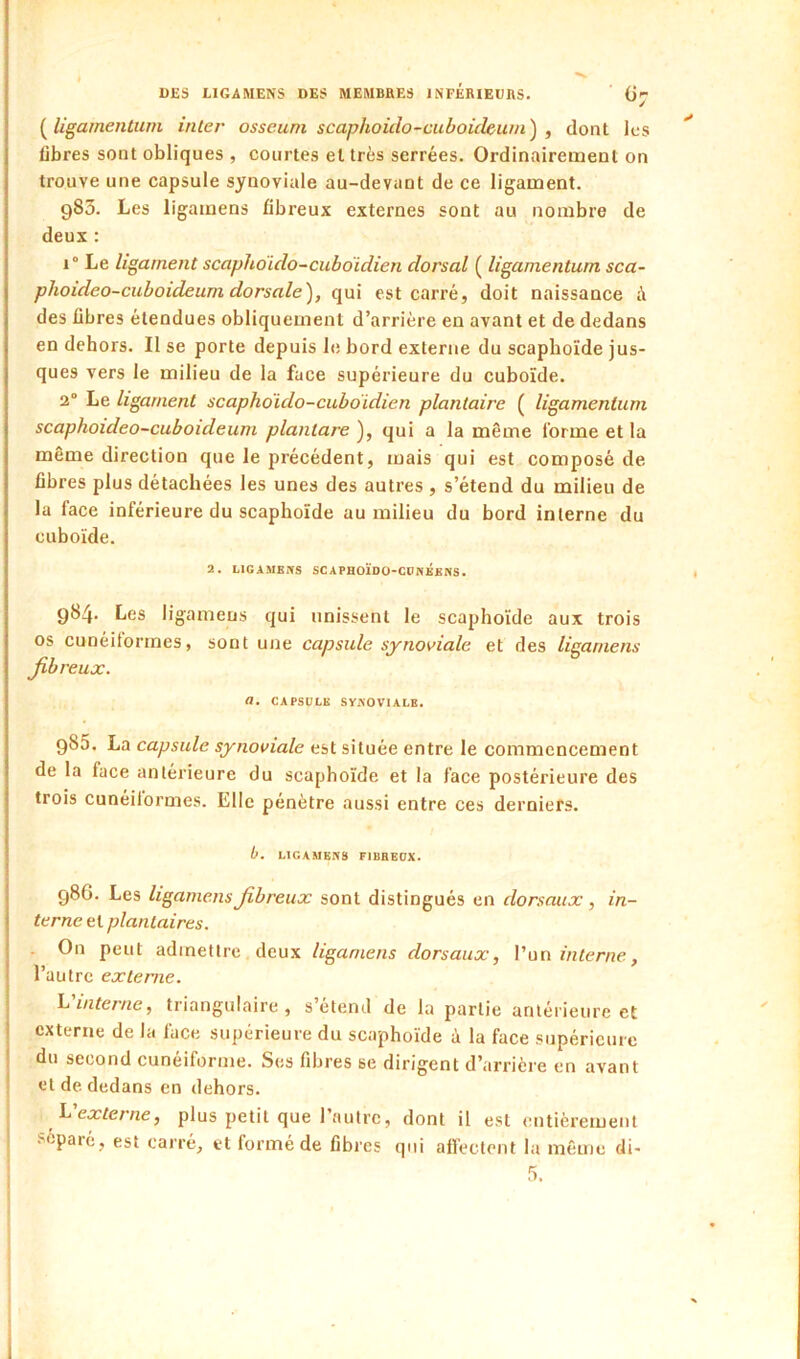 {^Ugamentum inter osseuni scaphoido-cuboichuni) , dont les libres sont obliques , courtes et très serrées. Ordinairement on trouve une capsule synoviale au-devant de ce ligament. 983. Les ligamens fibreux externes sont au nombre de deux : 1° Le ligament scaphoido-cubdidien dorsal ( ligamentum sca- phoideo-cuboideum dorsale), qui est carré, doit naissance à des fibres étendues obliquement d’arrière en avant et de dedans en dehors. Il se porte depuis le bord externe du scaphoïde jus- ques vers le milieu de la face supérieure du cuboïde. 2° Le ligament scaphoido-cubdidien plantaire ( ligamentum scaphoideo-cuboideum plantare ), qui a la même forme et la même direction que le précédent, mais qui est composé de fibres plus détachées les unes des autres , s’étend du milieu de la face inférieure du scaphoïde au milieu du bord interne du cuboïde. 2. LIGAMKBS SCAPHOÏDÜ-CONKENS. 984. Les ligamens qui unissent le scaphoïde aux trois os cunéilorrnes, sont une capsule synoviale et des ligamens fibreux. a. CAPSULE SYKOVIALB. 985. La capsule synoviale est située entre le commencement de la face antérieure du scaphoïde et la face postérieure des trois cunéilorrnes. Elle pénètre aussi entre ces derniers. b. LIGAMENS FIBBEOX. 986. Les ligamens fibreux sont distingués en dorsaux, in- terne et plantaires. . On peut admettre deux ligamens dorsaux, l’un interne, l’autre externe. h'interne, triangulaire, s’étend de la partie antérieure et externe de la face supérieure du scaphoïde à la face supérieure du second cunéiforme. Ses fibres se dirigent d’arrière en avant et de dedans en dehors. h'externe, plus petit que l’autre, dont il est entièrement separé, est carré, et formé de fibres qui affectent la même di-