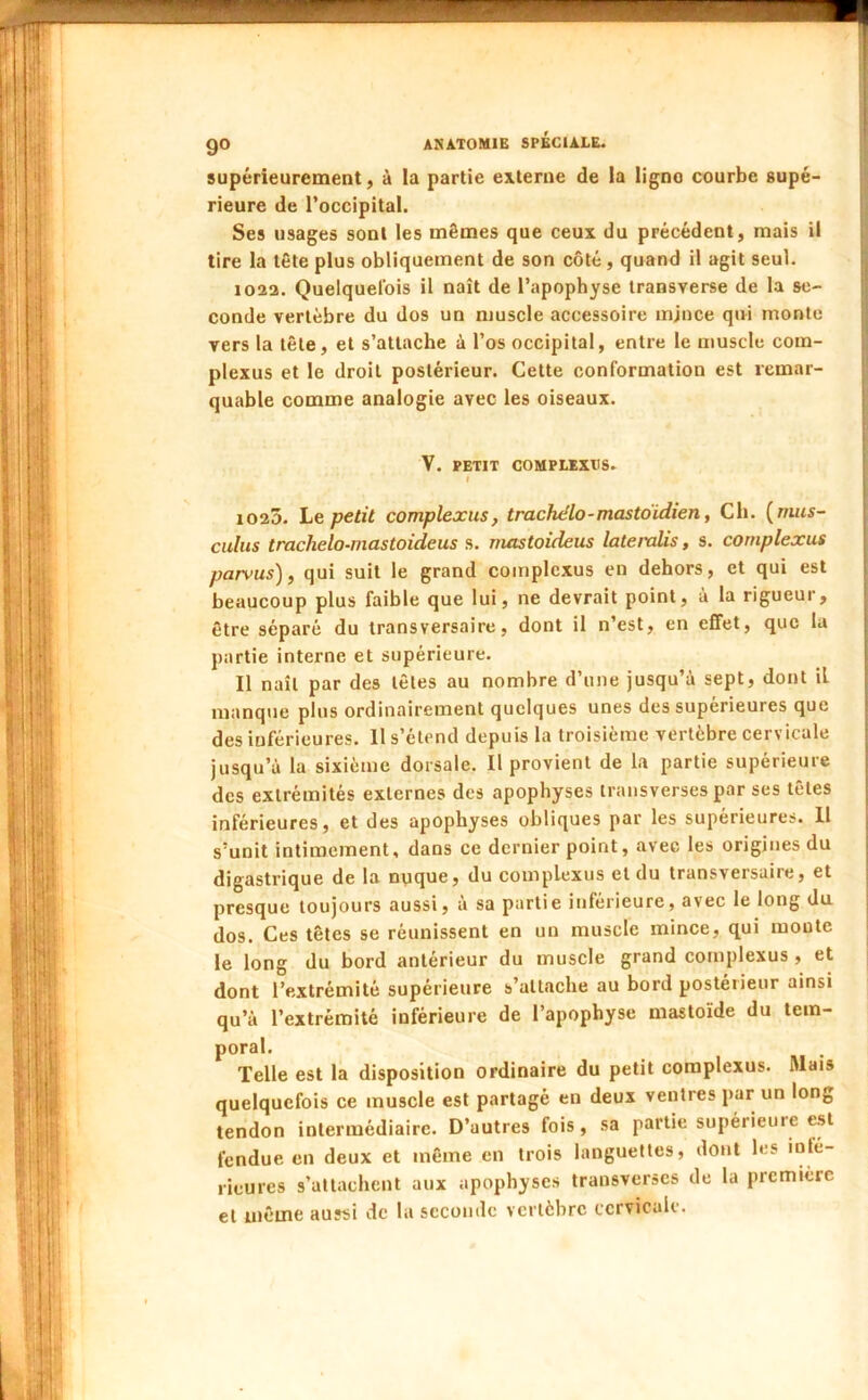 supérieurement, à la partie externe de la ligne courbe supé- rieure de l’occipital. Ses usages sont les mêmes que ceux du précédent, mais il tire la tête plus obliquement de son côté, quand il agit seul. 1023. Quelquefois il naît de l’apophyse transverse de la se- conde vertèbre du dos un muscle accessoire mjnee qui monte vers la tête, et s’attache à l’os occipital, entre le muscle com- plexus et le droit postérieur. Cette conformation est remar- quable comme analogie avec les oiseaux. V. PETIT COMPLEXnS. t 102Ô. Le petit complexus, trachélo-mastdidien, Cli. ^mus- culus trachelo-mastoideus s. mastoideus lateralis, s. complexus parvus), qui suit le grand complexus en dehors, et qui est beaucoup plus faible que lui, ne devrait point, à la rigueur, être séparé du transversaire, dont il n’est, en effet, que la partie interne et supérieure. Il naît par des têtes au nombre d’une jusqu’à sept, dont il manque plus ordinairement quelques unes des supérieures que des inférieures. 11 s’étend depuis la troisième vertèbre cervicale jusqu’à la sixième dorsale. Il provient de la partie supérieure des extrémités externes des apophyses iransverses par ses têtes inférieures, et des apophyses obliques par les supérieures. 11 s’unit intimement, dans ce dernier point, avec les origines du digastrique de la nyque, du complexus et du transversaire, et presque toujours aussi, à sa partie inférieure, avec le long du dos. Ces têtes se réunissent en un muscle mince, qui monte le long du bord antérieur du muscle grand complexus , et dont l’extrémité supérieure s’attache au bord postérieur ainsi qu’à l’extrémité inférieure de l’apophyse mastoïde du tem- poral. Telle est la disposition ordinaire du petit complexus. Mais quelquefois ce muscle est partagé en deux ventres par un long tendon intermédiaire. D’autres fois, sa partie supérieure e.st fendue en deux et même en trois languettes, dont les infe- rieures s’attachent aux apophyses transverscs de la première et même aussi de la seconde vertèbre cervicale.