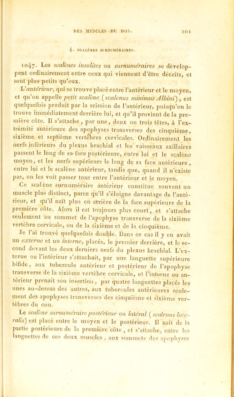4- SCALÈDES SL'IlNUMliBAIBE.S. io47* scaîhies insolites ou surnunie'raires sc dévelop- pent ordinairement entre ceux qui viennent d’être décrits, et sont plus petits qu’eux. antérieur, qui se trouve placé entre l’antérieur et le moyen, et qu on appelle petit scalhne {scalenus minimiis Albini'), est quelquefois produit par la scission de l’antérieur, puisqu’on le trouve immédiatement derrière lui, et qu’il provient de la pre- mière côte. Il s’attache, par une, deux ou trois têtes, à l’ex- tremite anterieure des apophyses transverses des cinquième, sixième et septième vertèbres cervicales. Ordinairement les nerfs inférieurs du plexus brachial et les vaisseaux axillaires passent le long de sa< face postérieure, entre lui et le scalènc moyen, et les nerfs supérieurs le long de sa face antérieure, entre lui et le scalène antérieur, tandis que, quand il n’existe pas, on les voit passer tous entre l’antérieur et le moyen. Ce scalène surnuméraire antérieur constitue souvent un muscle plus distinct, parce qu’il s’éloigne davantage de l’anté- rieur, et qu il naît plus en arrière de la face supérieure de la première côte. Alors il est toujours plus court, et s’attache seulement au sommet de l’apophyse transverse de la sixième vertèbre cervicale, ou de la sixième et de la cinquième. Je 1 ai trouvé quelquefois double. Dans ce cas il y en avait un externe et un interne, placés, le premier derrière, et le se- cond devant les deux derniers nerfs du plexus brachial. L’ex- terne ou 1 intérieur s’attachait, par une languette supérieure bifide, aux tubercule antérieur et postérieur de l’apophyse transverse de la sixième vertèbre cervicale, et l’interne ou an- térieur prenait son insertion, par quatre languettes placés les unes au-dessus des autres, aux tubercules antérieures seule- ment des apophyses transverses des cinquième et sixième ver- tèbres du cou. Le scalène surnuméraire postérieur ou latéral ( scalenus laie- ralis) est placé entre le moyen et le postérieui’. Il naît de la partie postérieure de la première côte, et s'allacbe, entre les languettes de cos deux muscles , aux sommets des apophyses