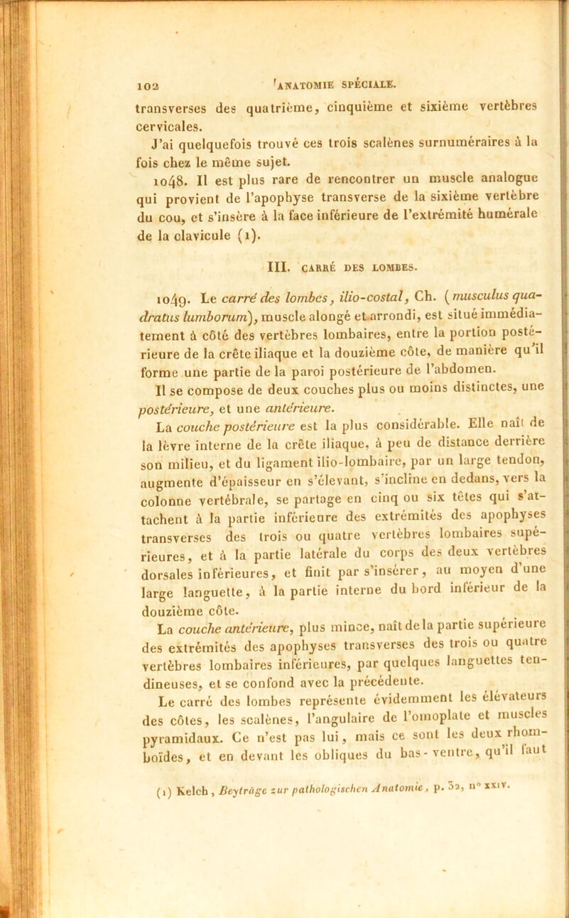 transverses des quatrième, cinquième et sixième vertèbres cervicales. J’ai quelquefois trouvé ces trois scalènes surnuméraires à la fois chez le même sujet. 1048. Il est plus rare de rencontrer un muscle analogue qui provient de l’apophyse transverse de la sixième vertèbre du cou, et s’insère à la face inférieure de l’extrémité humérale de la clavicule (1). III. CARRÉ DES LOMBES. io49- carré des lombes, ilio-costal, Ch. (^musculus qua- dratus lumborum), muscle alongé eUarrondi, est situé immédia- tement à côté des vertèbres lombaires, entre la portion posté- rieure de la crête iliaque et la douzième côte, de manière qu il forme une partie de la paroi postérieure de l’abdomen. Il se compose de deux couches plus ou moins distinctes, une postérieure, et une antérieure. hü couche postérieure est la plus considérable. Elle naît de la lèvre interne de la crête iliaque, à peu de distance derrière son milieu, et du ligament ilio-lombairc, par un large tendon, augmente d’épaisseur en s’élevant, s’incline en dedans, vers la colonne vertébrale, se partage en cinq ou six têtes qui s at- tachent à la partie inférieure des extrémités des apophyses transverses des trois ou quatre vertèbres lombaires supé- rieures, et à la partie latérale du corps des deux vertèbres dorsales inférieures, et ûnit par s’insérer, au moyen d’une large languette, à la partie interne du bord inférieur de la douzième côte. La couche antérieure, plus mince, naît de la partie supérieure des extrémités des apophyses transverses des trois ou quatre vertèbres lombaires inférieures, par quelques languettes ten- dineuses, et se confond avec la précédente. Le carré des lombes représente évidemment les élévateurs des côtes, les scalènes, l’angulaire de l’omoplate et muscles pyramidaux. Ce n’est pas lui, mais ce sont les deux rhom- boïdes, et en devant les obliques du bas-ventre, qu il laut (1) Kelch, Beylrâge iur pathologischcn y4natomie, p. 5a, n” x*iv.