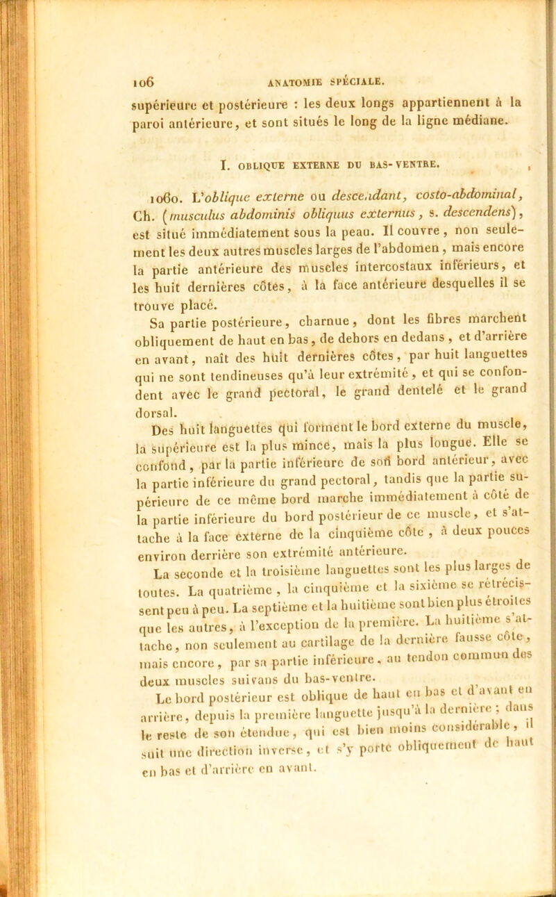 supérieure et postérieure : les deux longs appartiennent A la paroi antérieure, et sont situés le long de la ligne médiane. I. OBLIQUE EXTEHNE DU BAS-VENTEE. , 1060. Voblique externe ou descendant, costo-abdominal, Ch. (rnusculus abdominis obliquus externus, s. descendens), est situé immédiatement sous la peau. Il couvre , non seule- ment les deux autres muscles larges de l’abdomen, mais encore la partie antérieure des muscles intercostaux inférieurs, et les huit dernières côtes, à la face antérieure desquelles il se trouve placé. Sa partie postérieure, charnue, dont les fibres marchent obliquement de haut en bas, de dehors en dedans , et d’arrière en avant, naît des huit dernières côtes, par huit languettes qui ne sont tendineuses qu’à leur extrémité , et qui se confon- dent avec le grand pectoral, le grand dentelé et le grand dorsal. Des huit languettes qui forment le bord externe du muscle, la supérieure est la plus mince, mais la plus longue. Elle se confond, parla partie inferieure de sort bord antérieur, avec la partie inférieure du grand pectoral, tandis que la partie su- périeure de ce même bord marche immédiatement à côté^ de la partie inférieure du bord postérieur de ce muscle, et s’at- tache à la face externe de la cinquième côte , à deux pouces environ derrière son extrémité antérieure. La seconde et la troisième languettes sont les plus larges de toutes. La quatrième , la cinquième et la sixième se rétrécis- sent peu à peu. La septième et la huitième sont bien plus étroites que les autres, à l’exception de la première. La huitième s at- tache, non seulement au cartilage de la dernière finisse cOtc, mais encore , par sa partie inférieure , au tendon commun os deux muscles suivans du bas-ventre. Le bord postérieur est oblique de haut en bas et a\aiit en arrière, depuis la première languette jusqu’à la dernière ; dans le- reste de .son étendue, qui est bien moins considérable, ■ suit une direction inverse, et s’y porte obliquement do haut cil bas et d’arrière en avant.